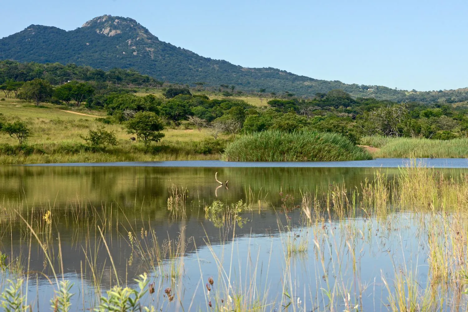 Fishing in Tomjachu Bush Retreat