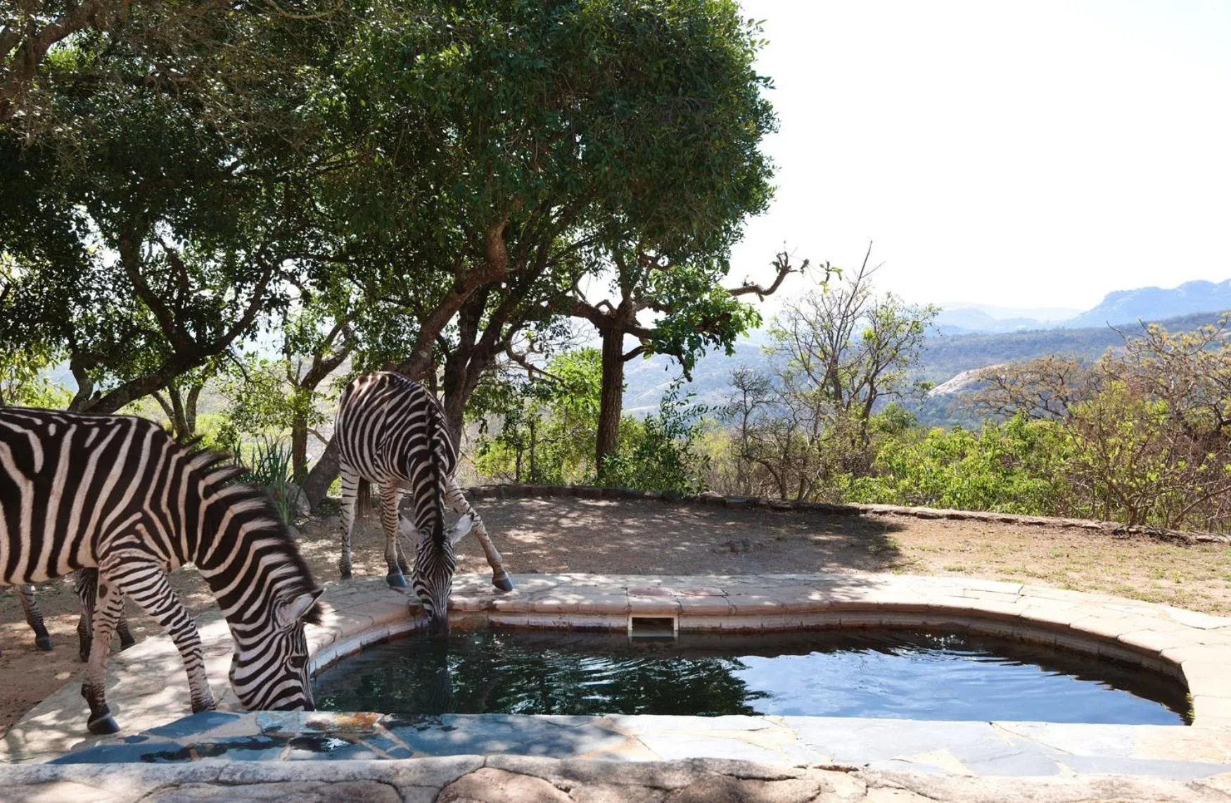 View (from property/room) in Tomjachu Bush Retreat