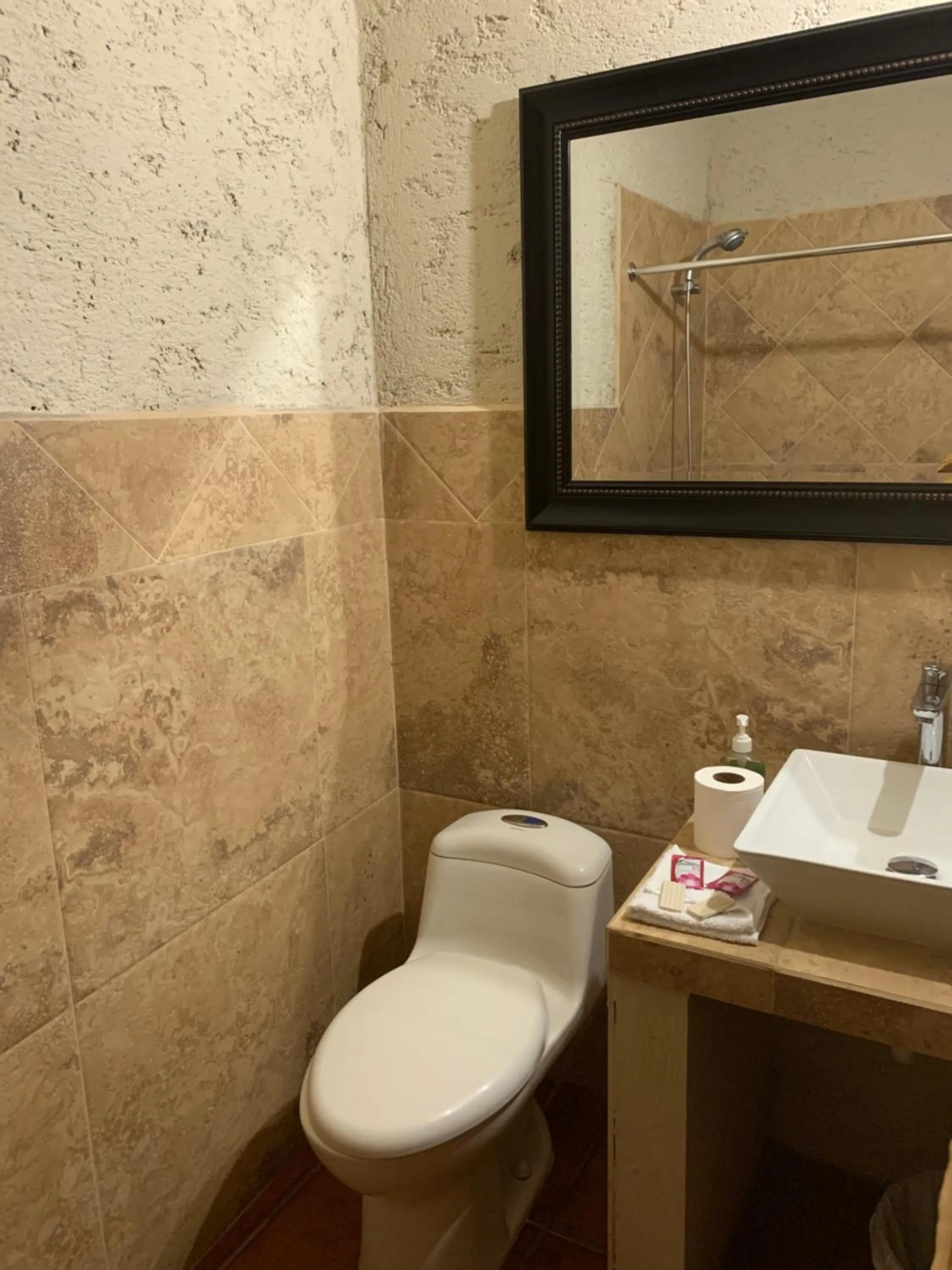 Hotel Mansion Del Rey