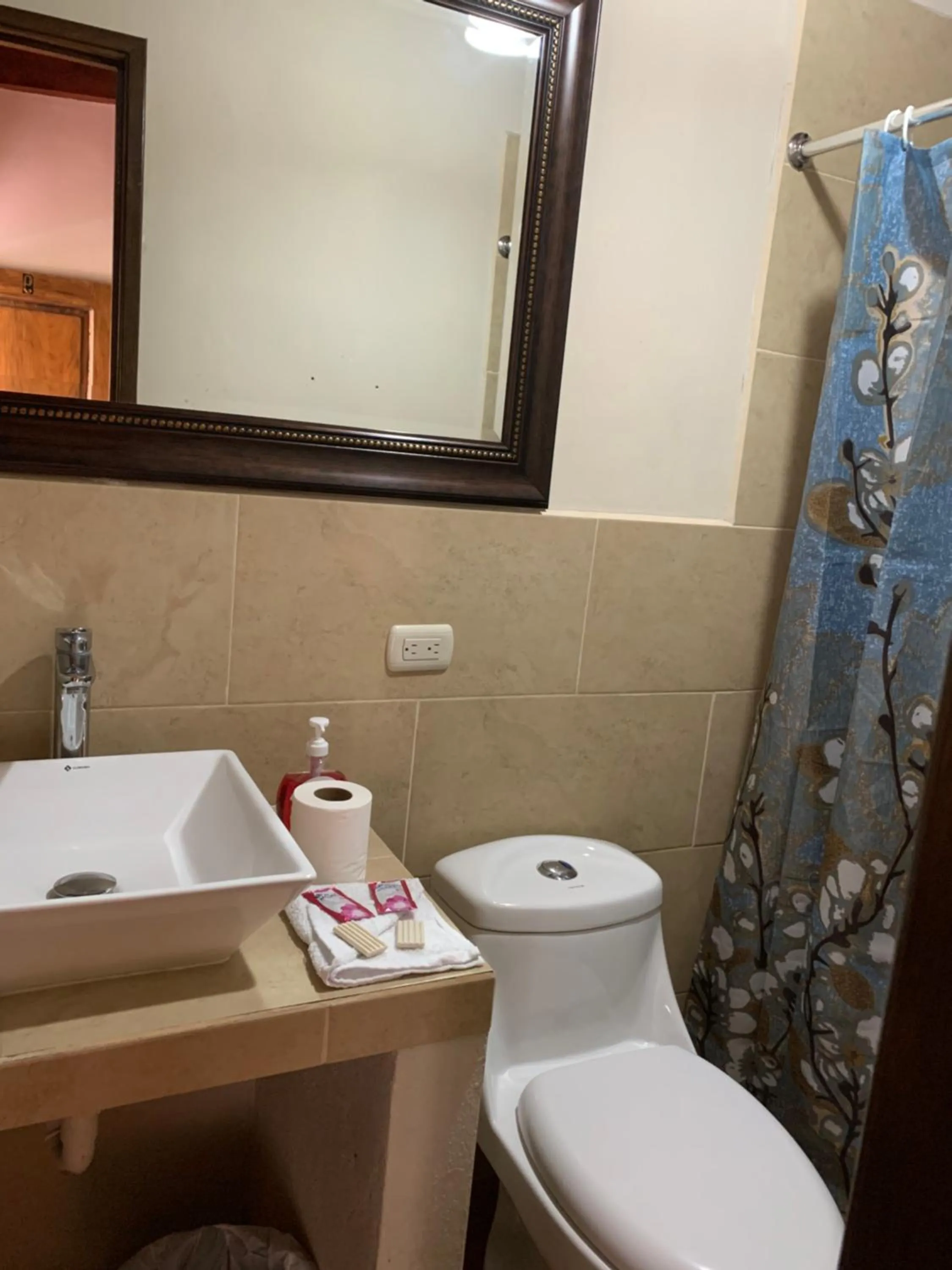 Hotel Mansion Del Rey