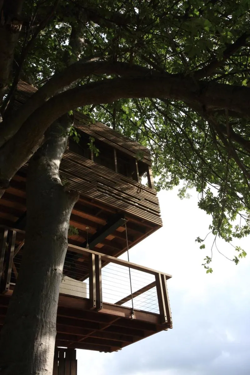 Bird's eye view in Les Palétuviers