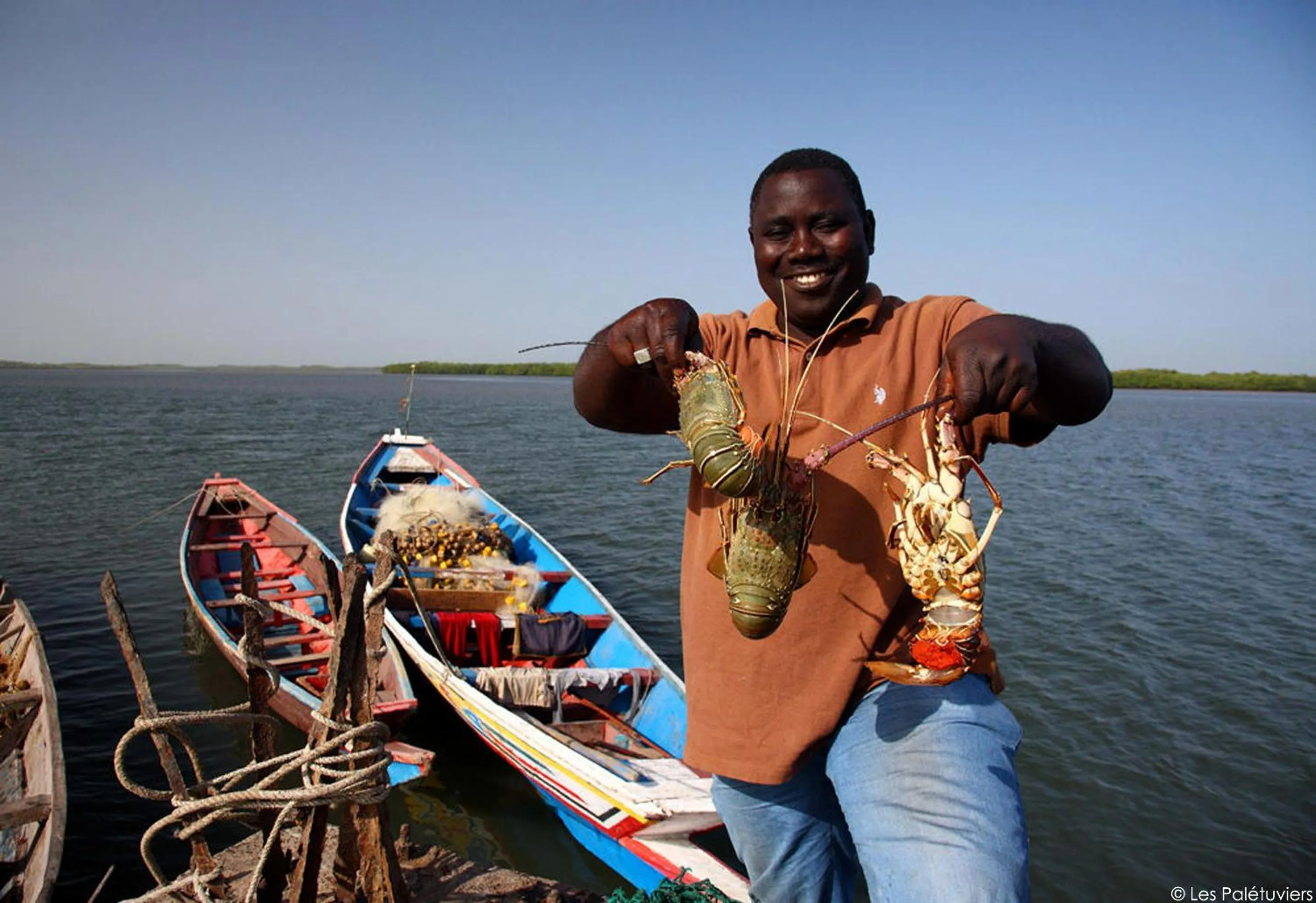 Fishing in Les Palétuviers