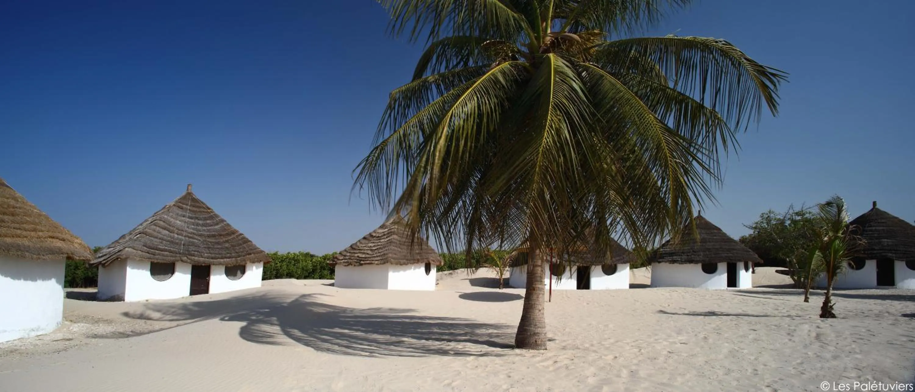 Decorative detail in Les Palétuviers