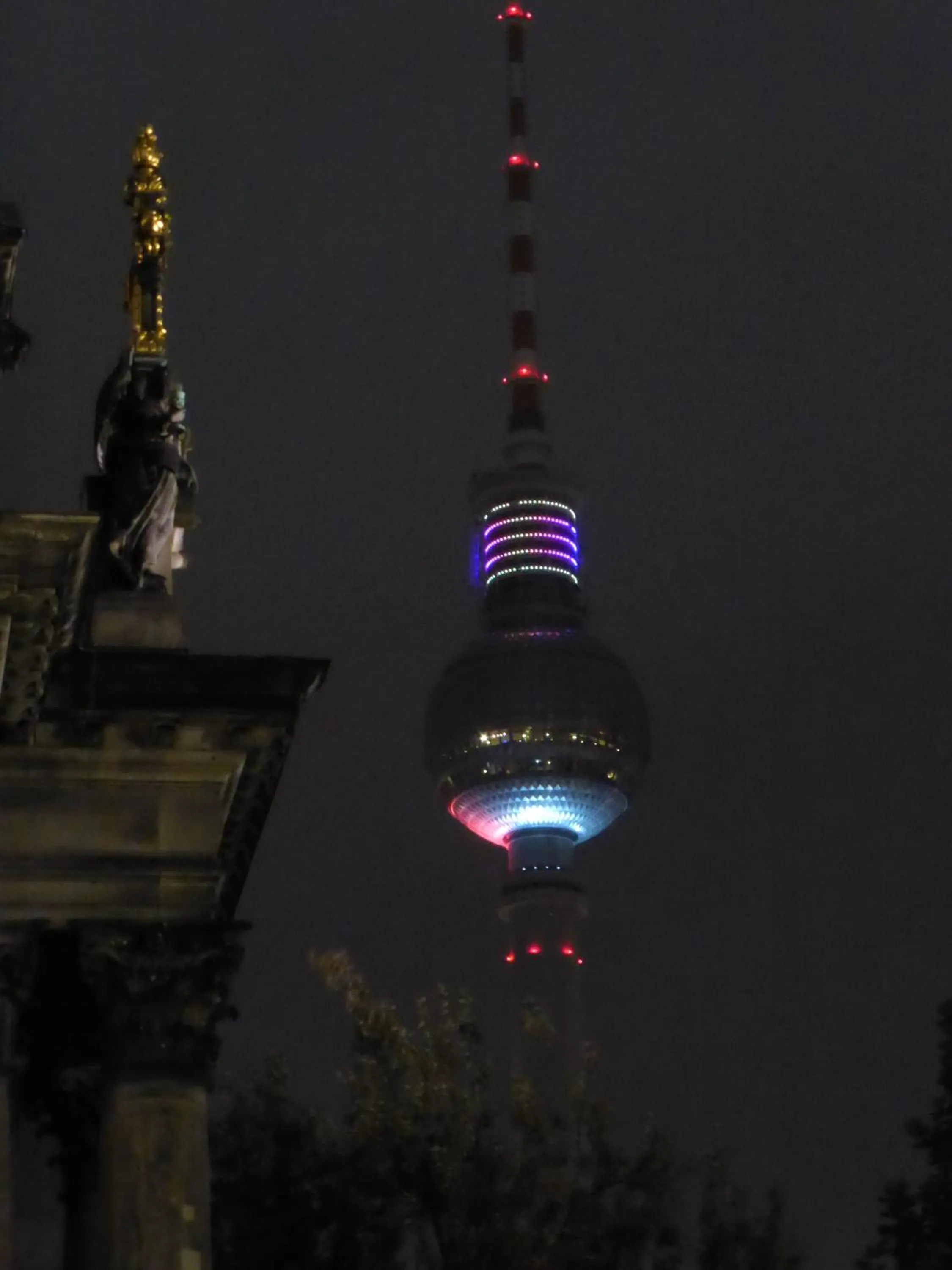 Area and facilities in Apartments Dahlie & Nelke