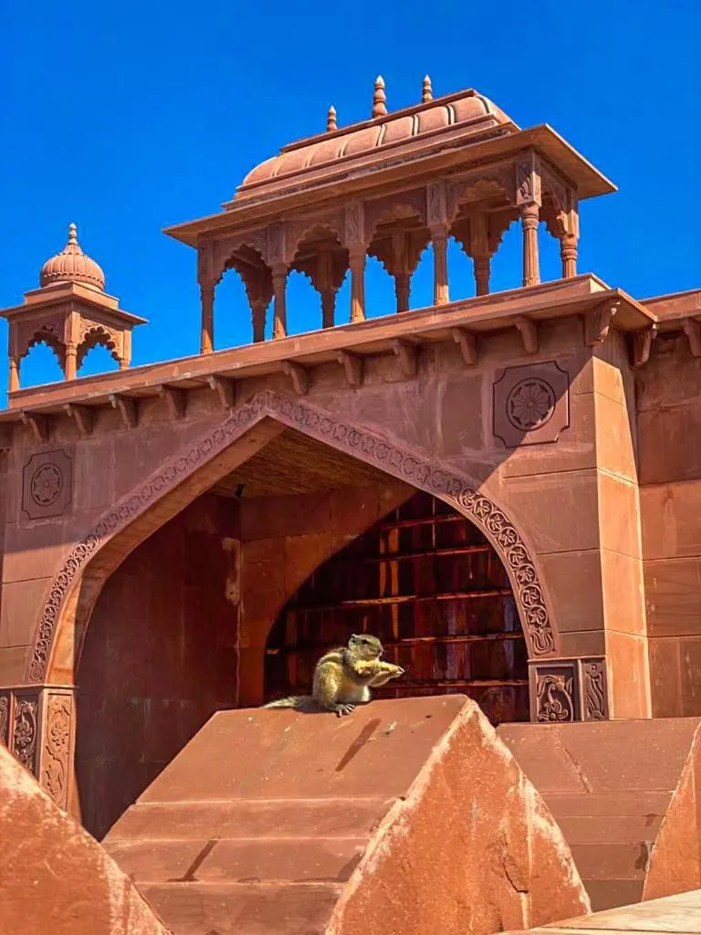 Nearby landmark in Puratan Qila