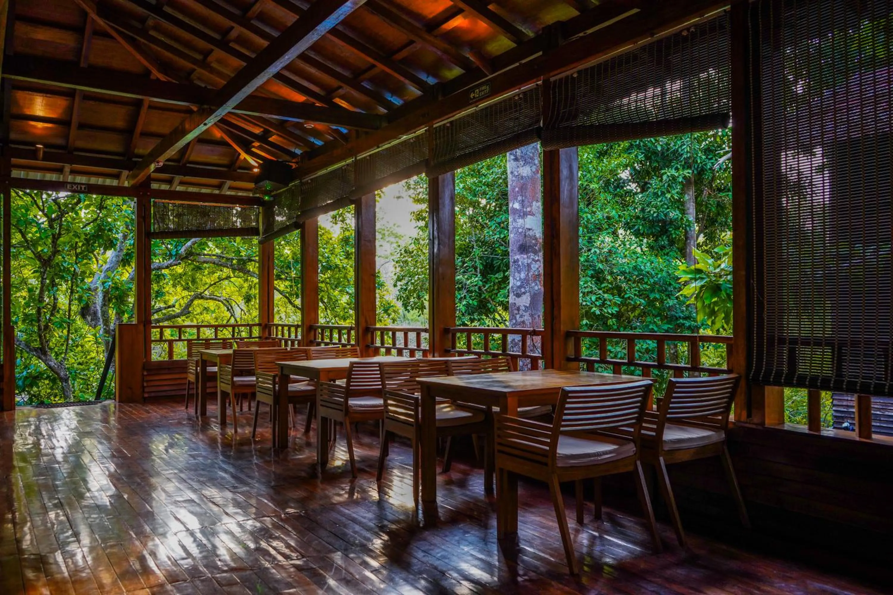 Restaurant/places to eat in De Foret