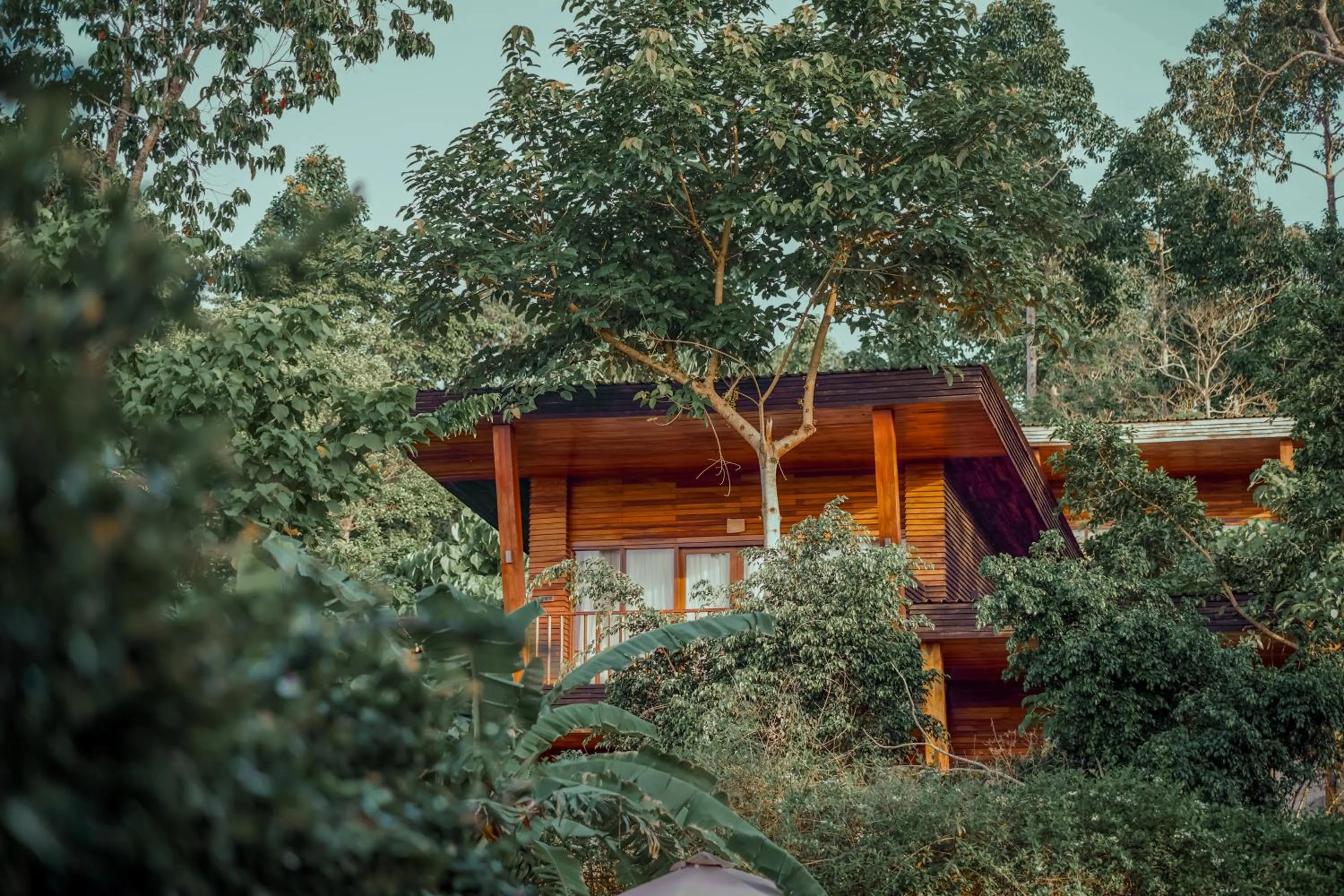 Property building in De Foret