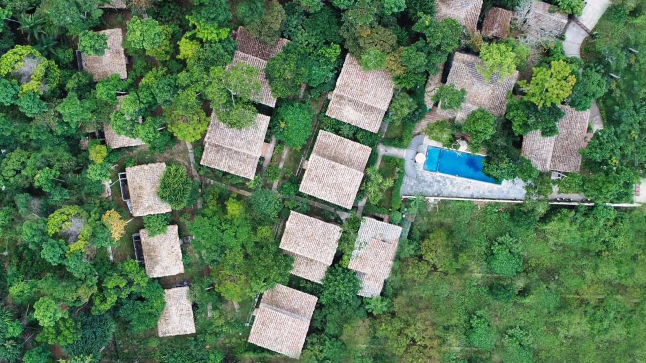 View (from property/room) in De Foret