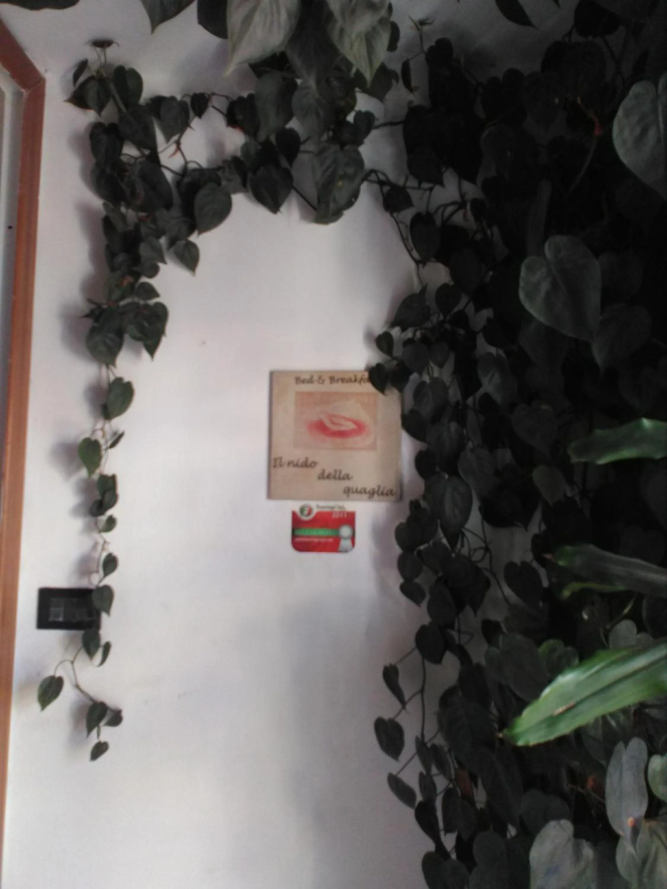 Facade/entrance in Il Nido della Quaglia b&b - Jaba mia House LT