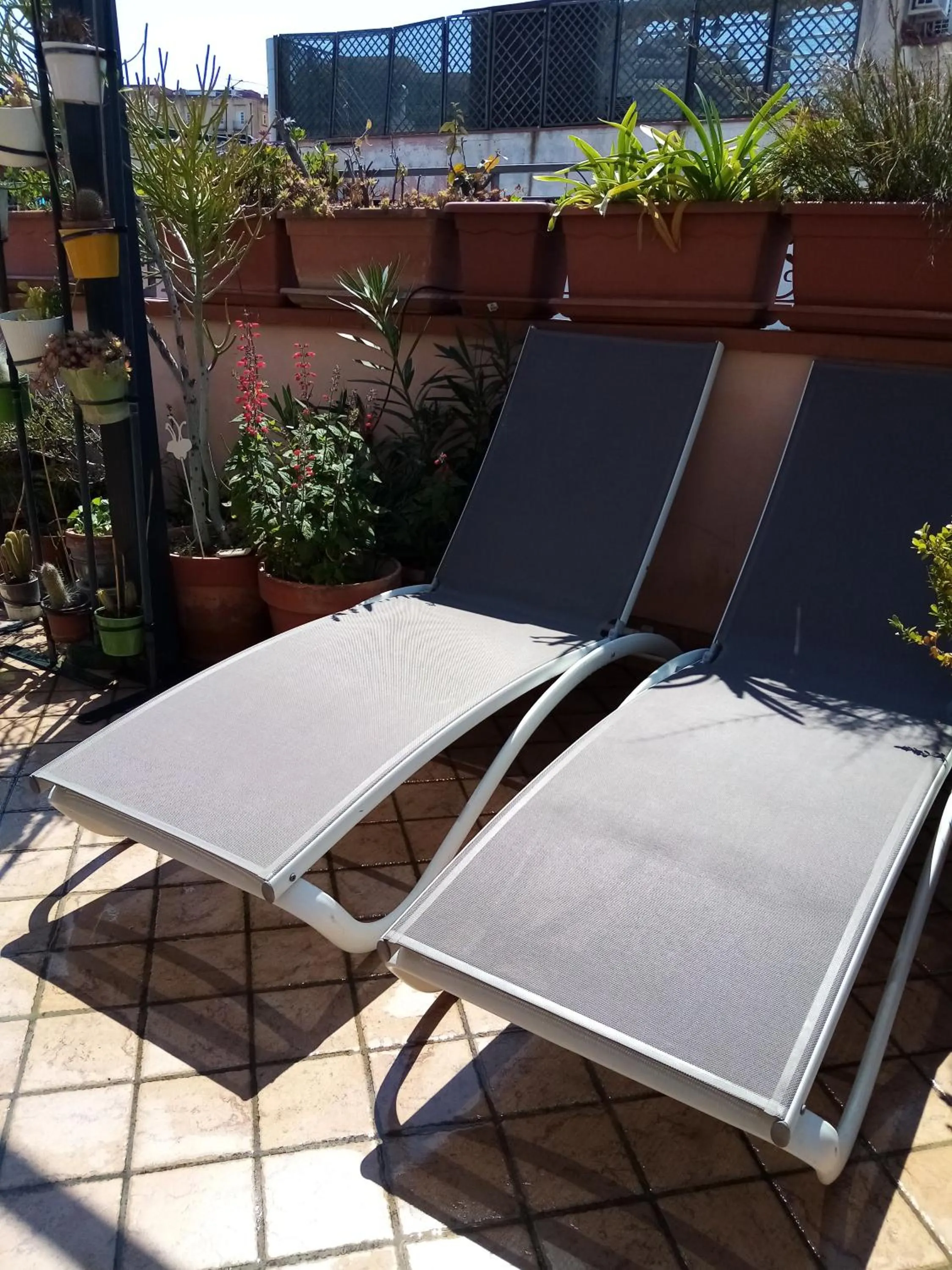 sunbed in Il Nido della Quaglia b&b - Jaba mia House LT