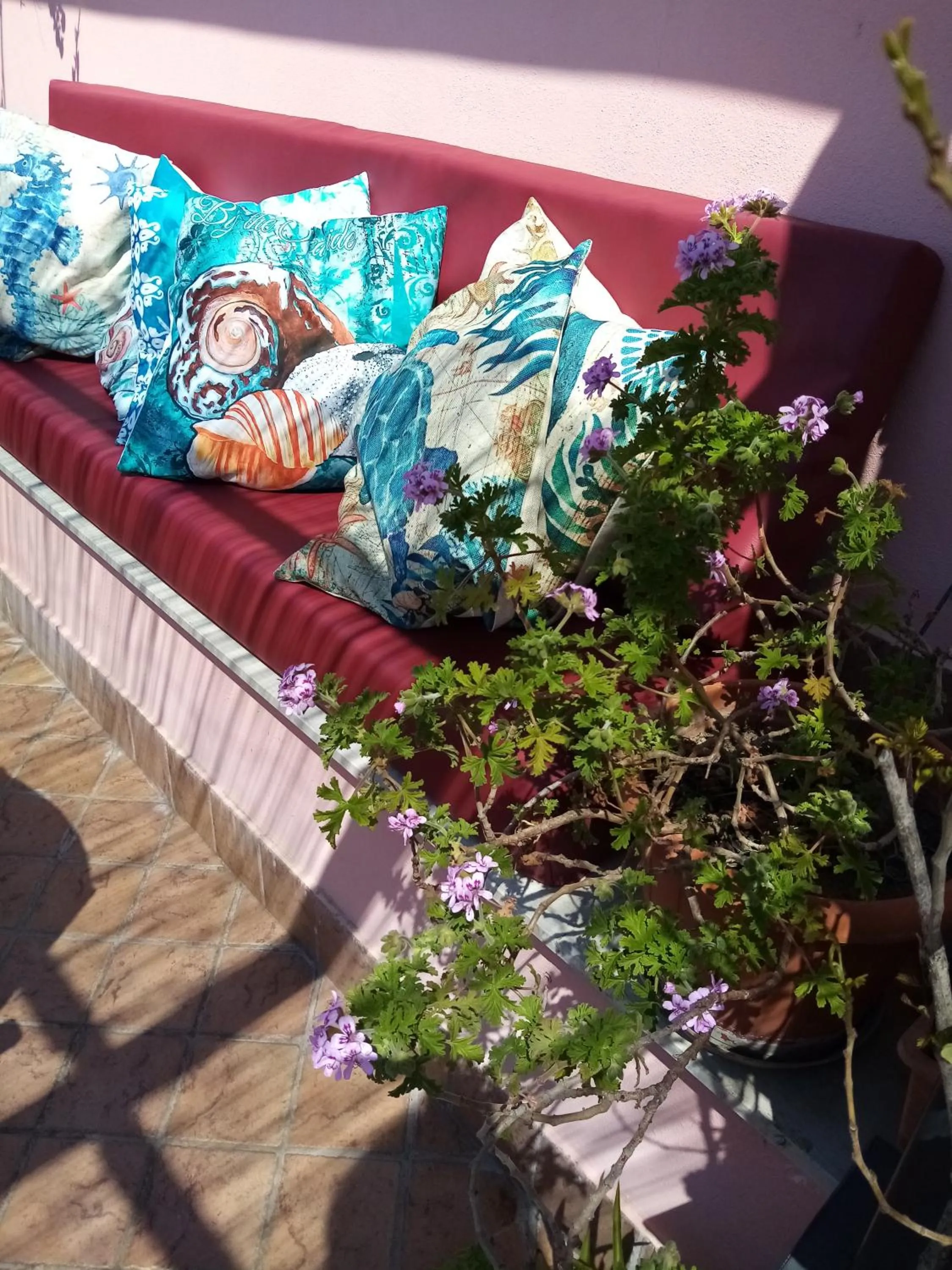 Day in Il Nido della Quaglia b&b - Jaba mia House LT