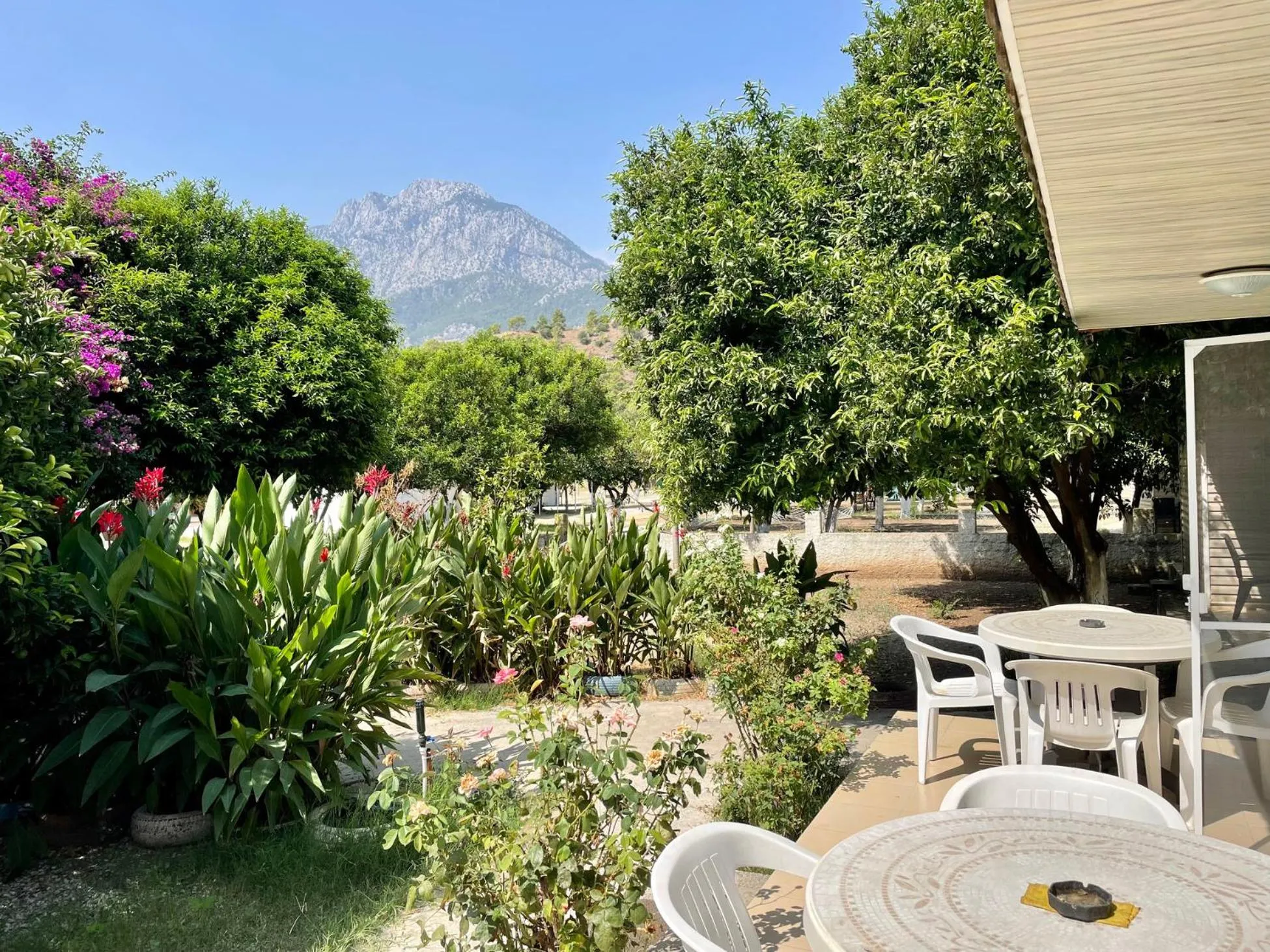 Patio in ORANGE BEACH CAMP
