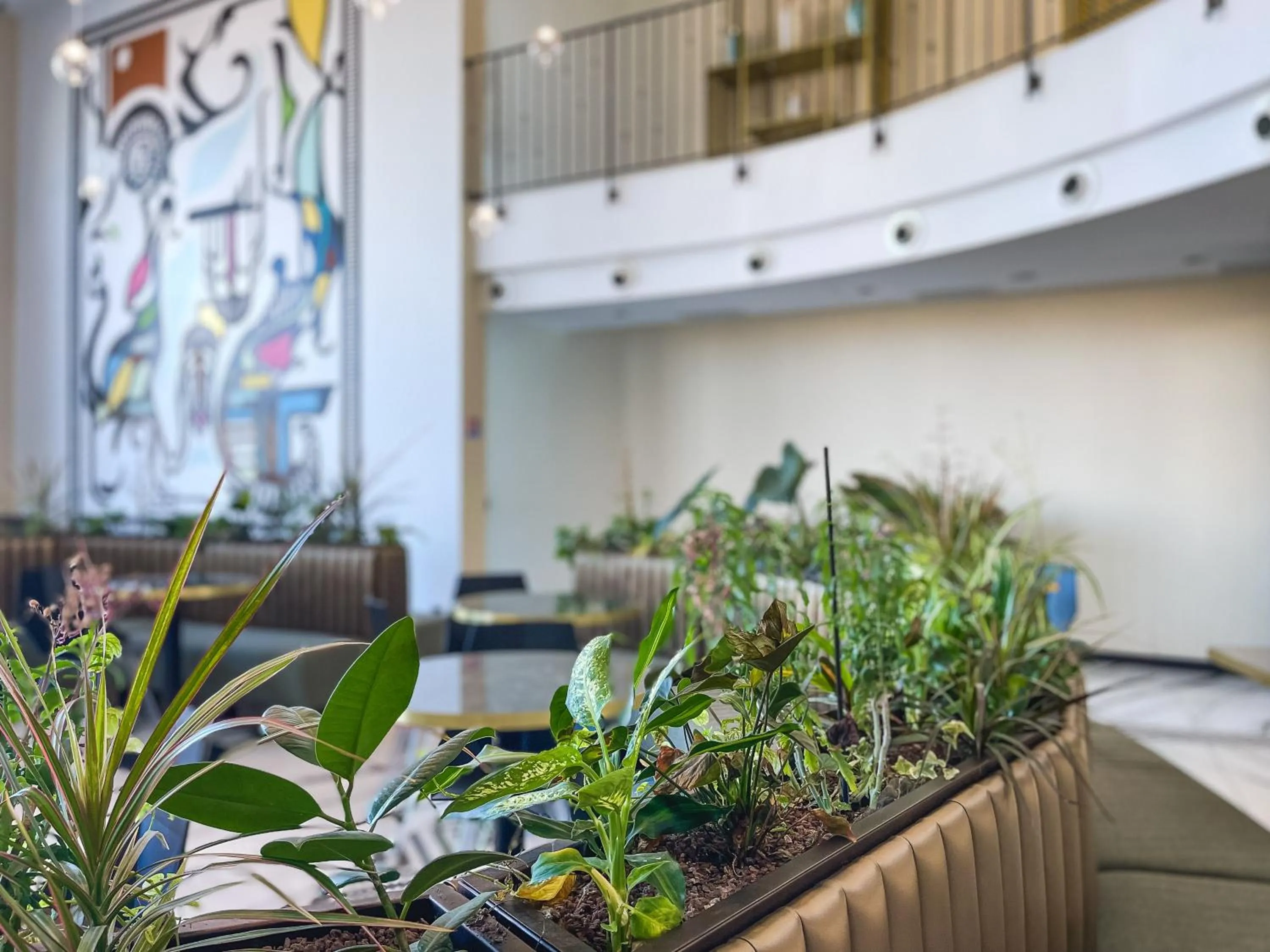 Restaurant/places to eat in Eco-Résidence Dolce Paese & Spa