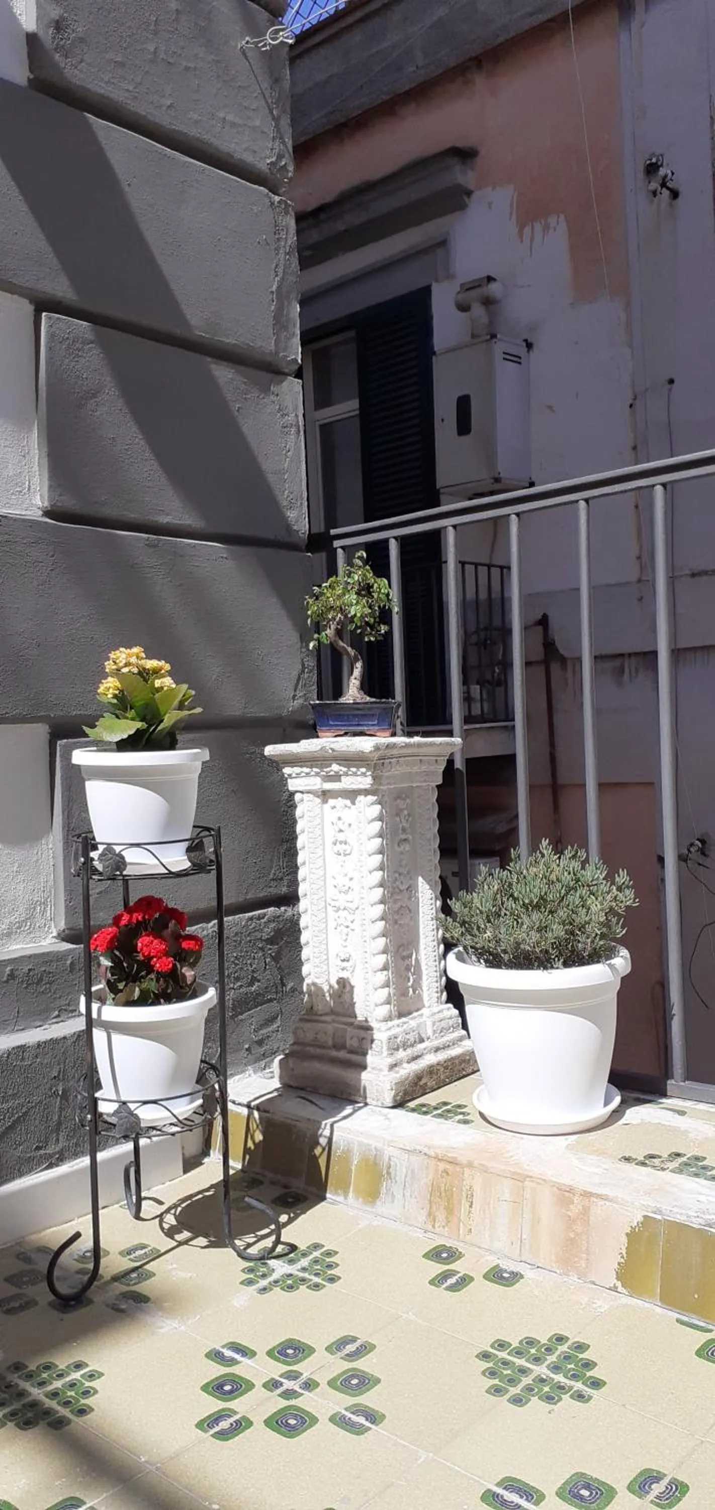 B&B Stella Scugnizza