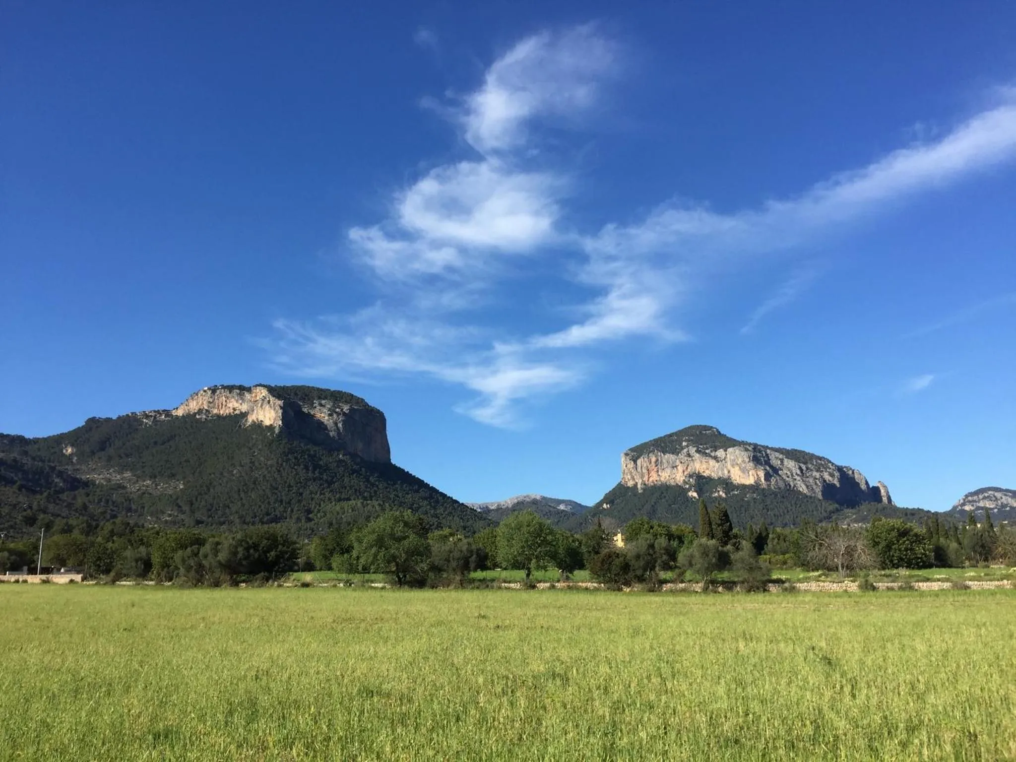 Cycling in Petit Hotel Alaro