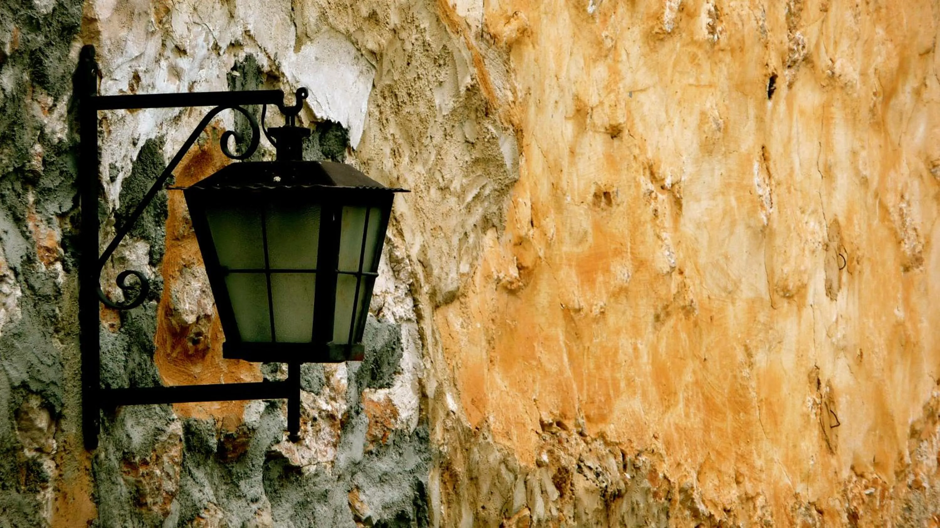 Garden in Petit Hotel Alaro