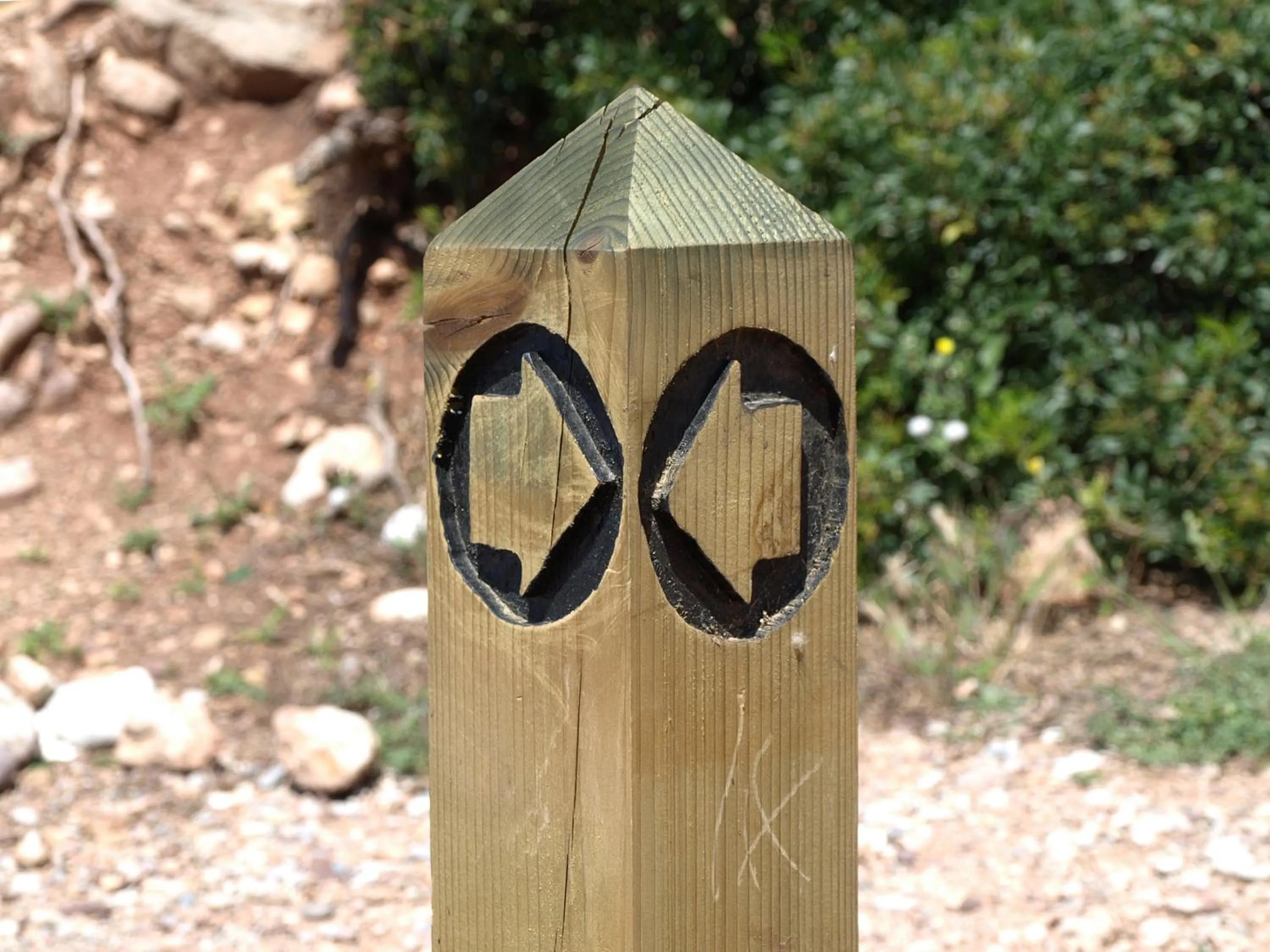 Area and facilities in Petit Hotel Alaro