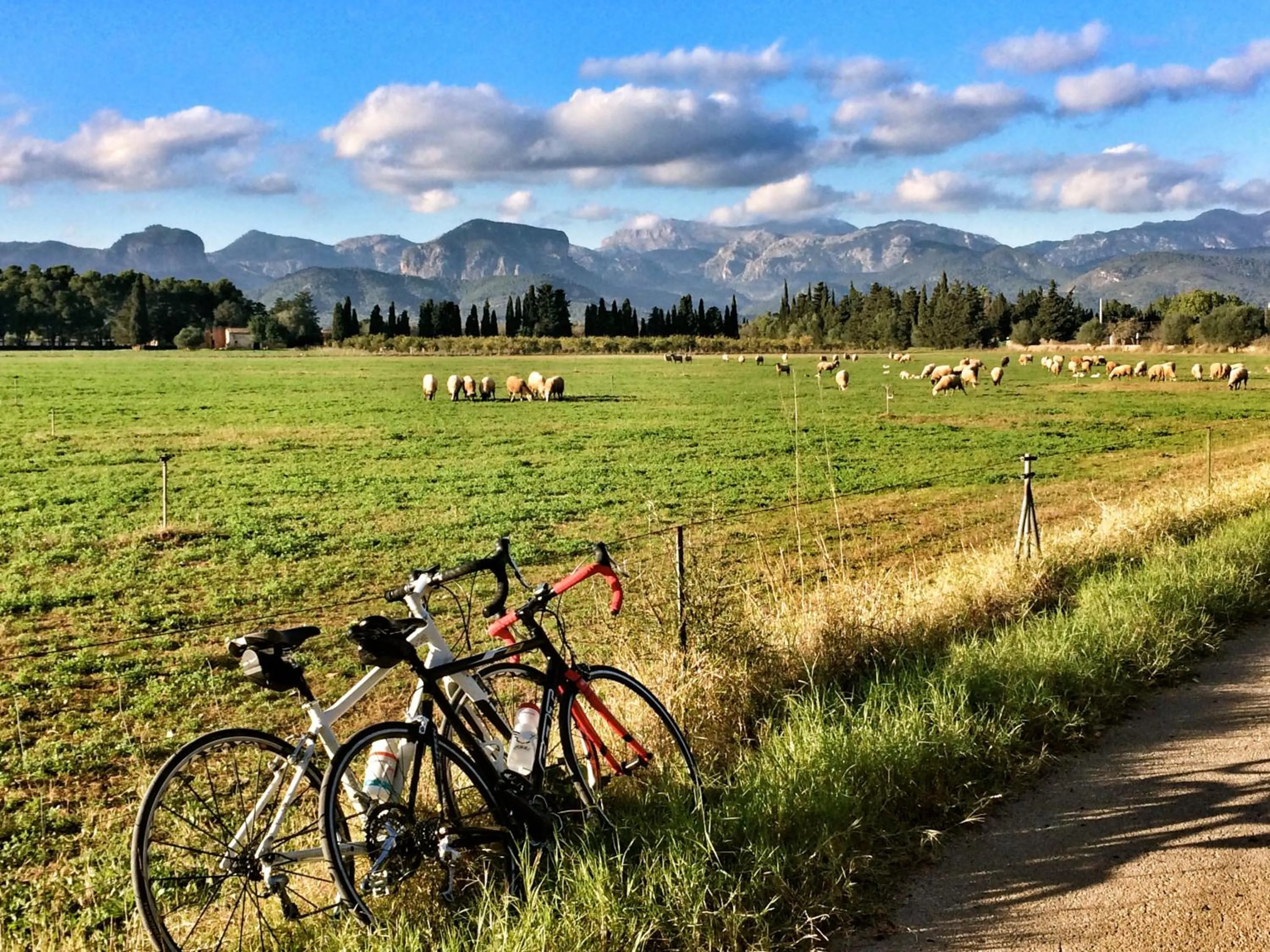 Cycling in Petit Hotel Alaro