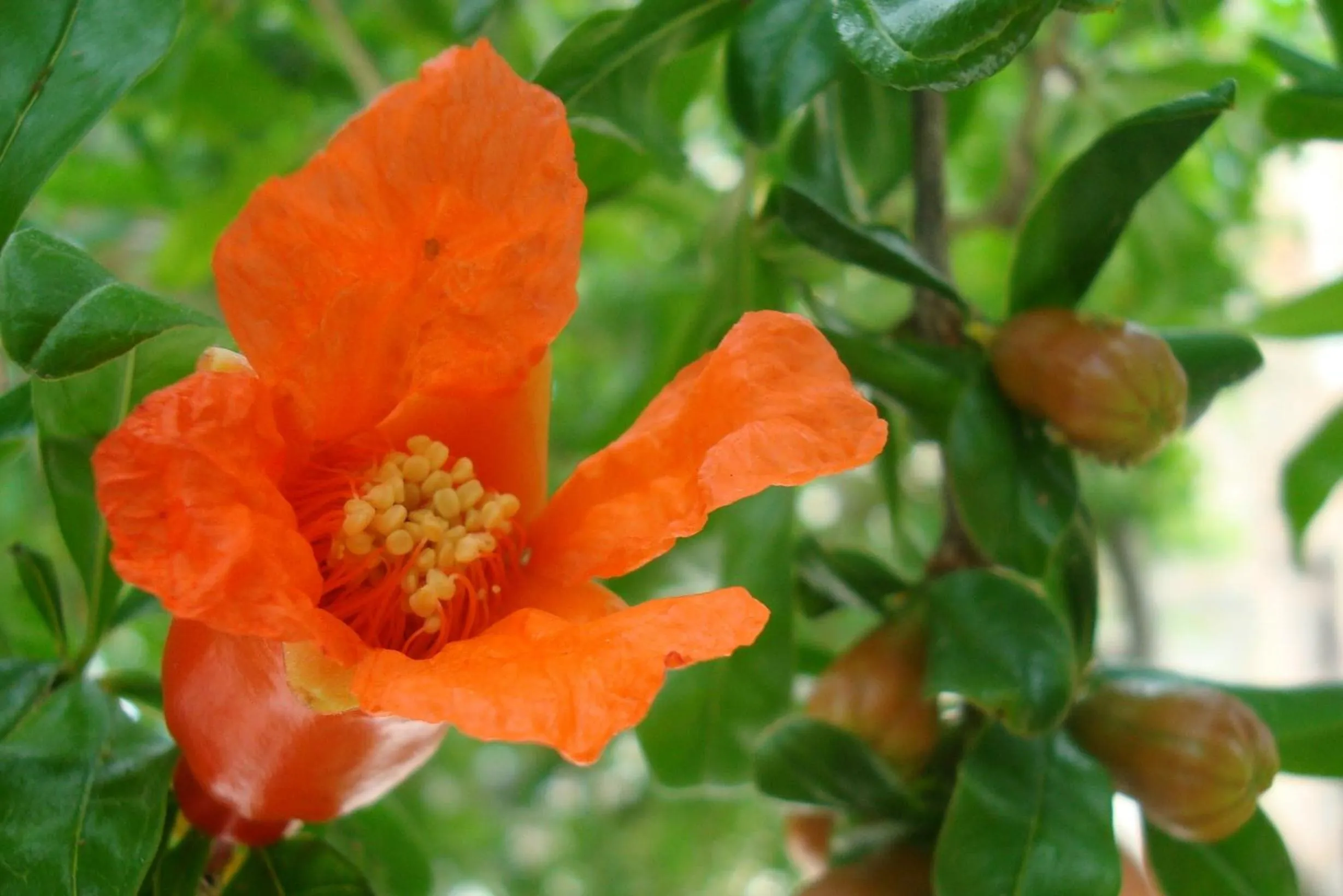 Decorative detail in Petit Hotel Alaro