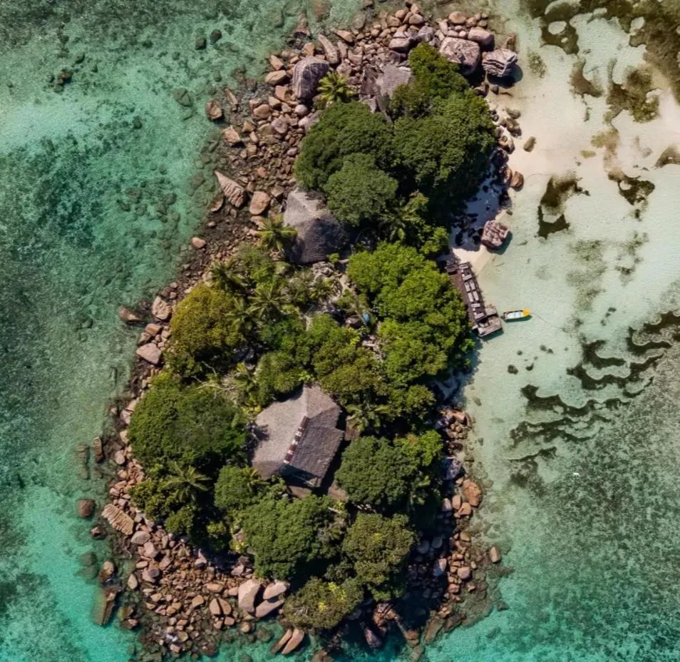 Chauve Souris Relais