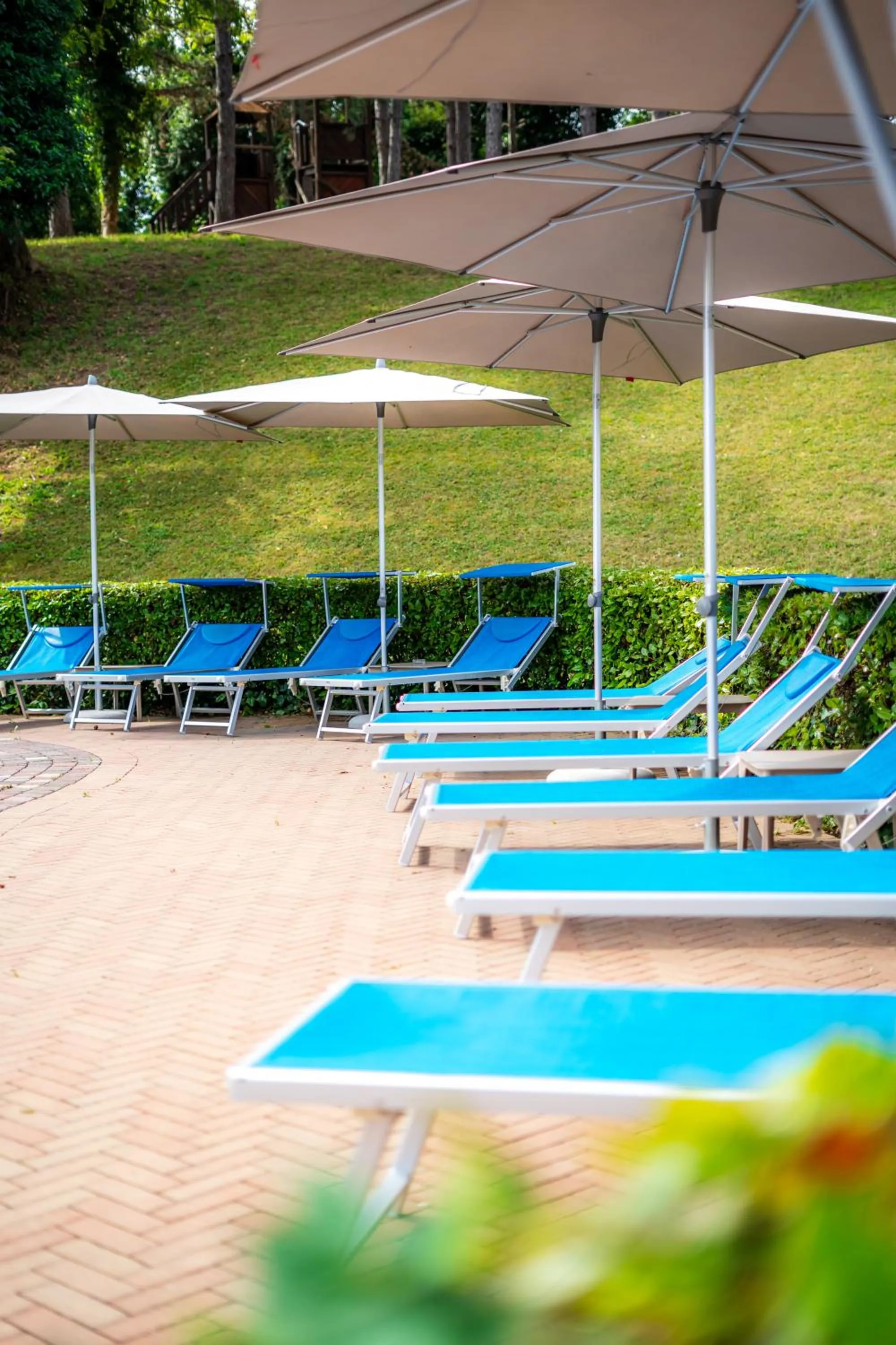 Swimming pool in La Valle Dei Caprioli Village Bungalow Park - Freelandia Azienda Agricola