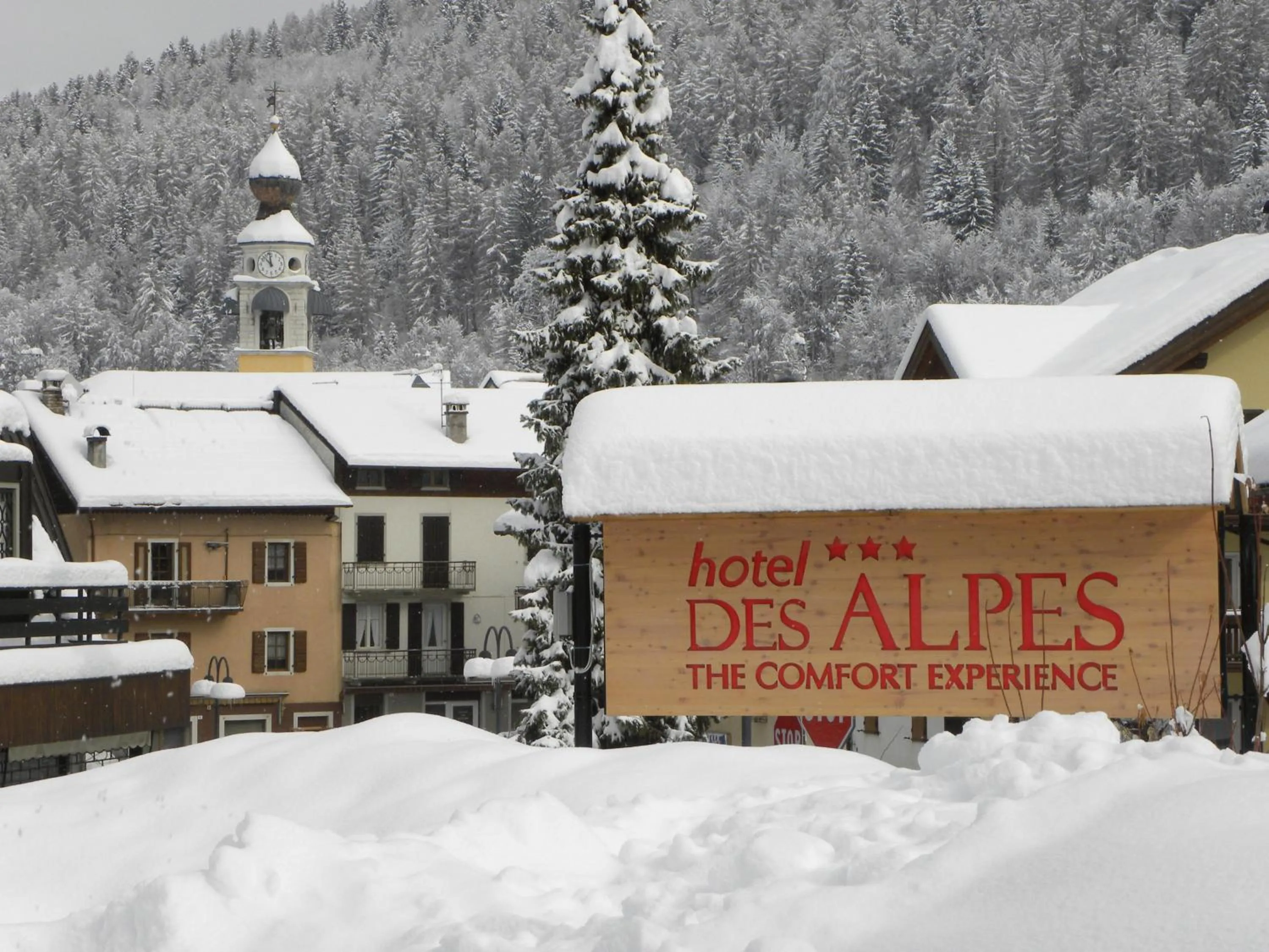 Property logo or sign in Life Hotels Des Alpes