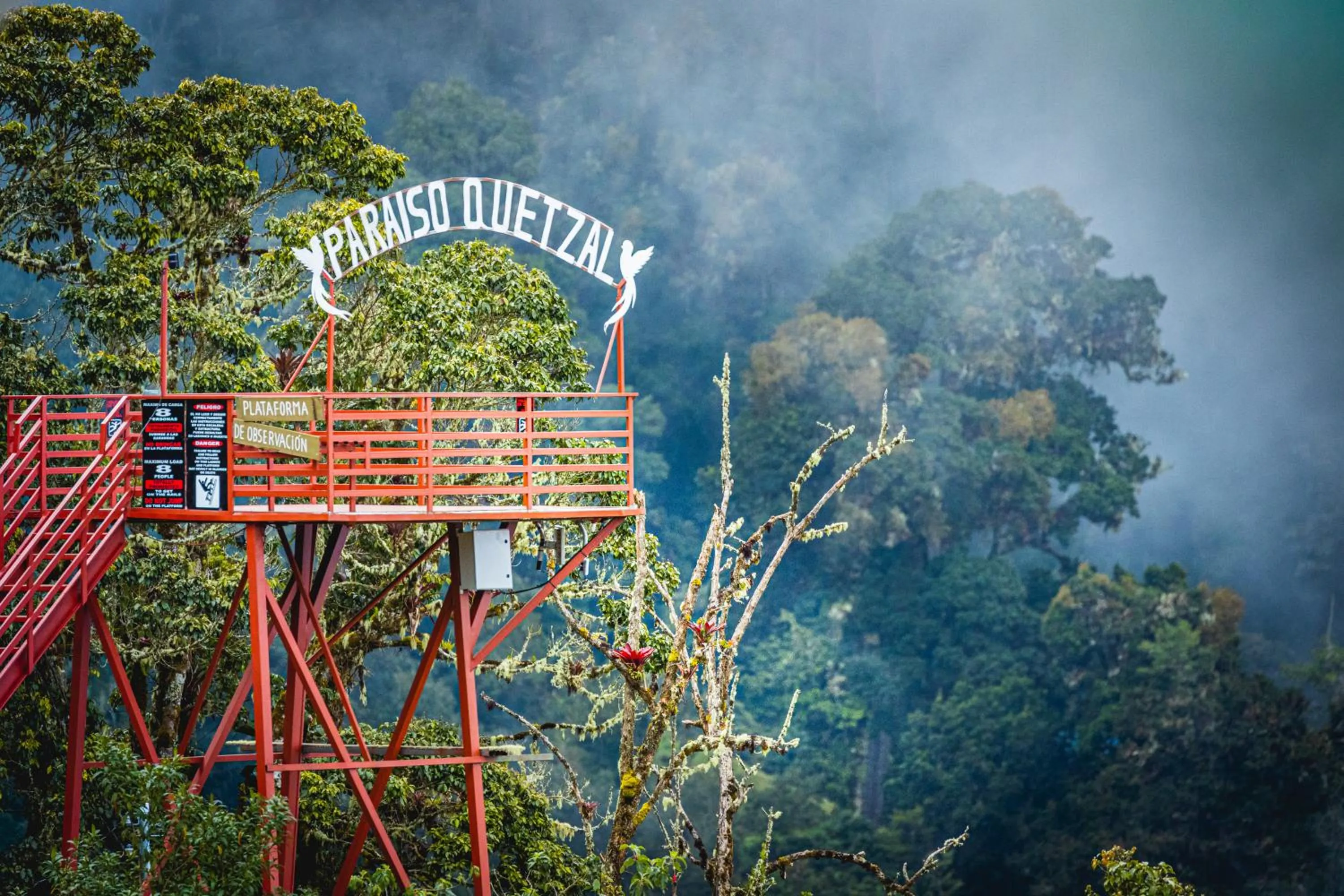 Natural landscape in Paraíso Quetzal Lodge