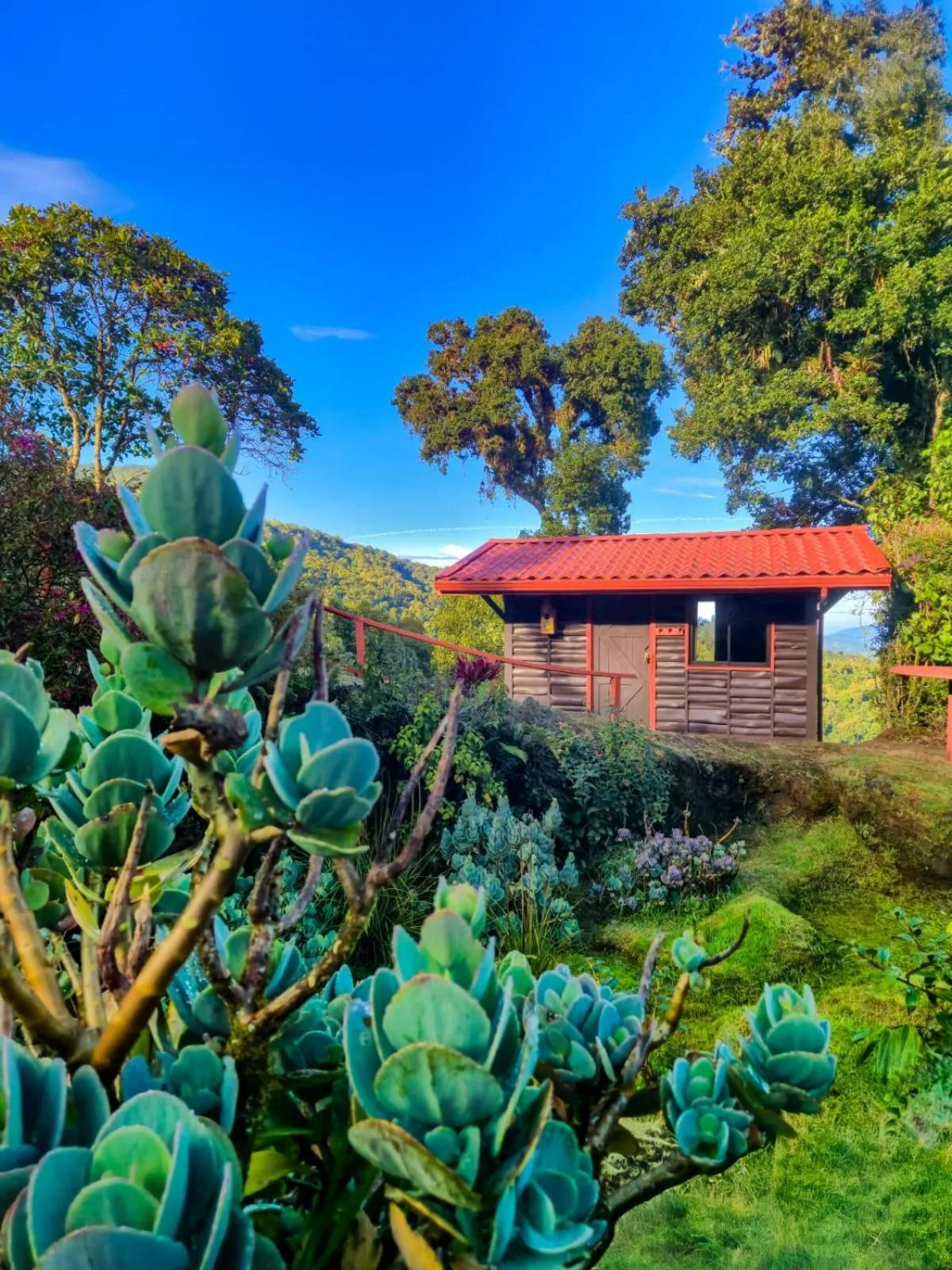 Garden in Paraíso Quetzal Lodge