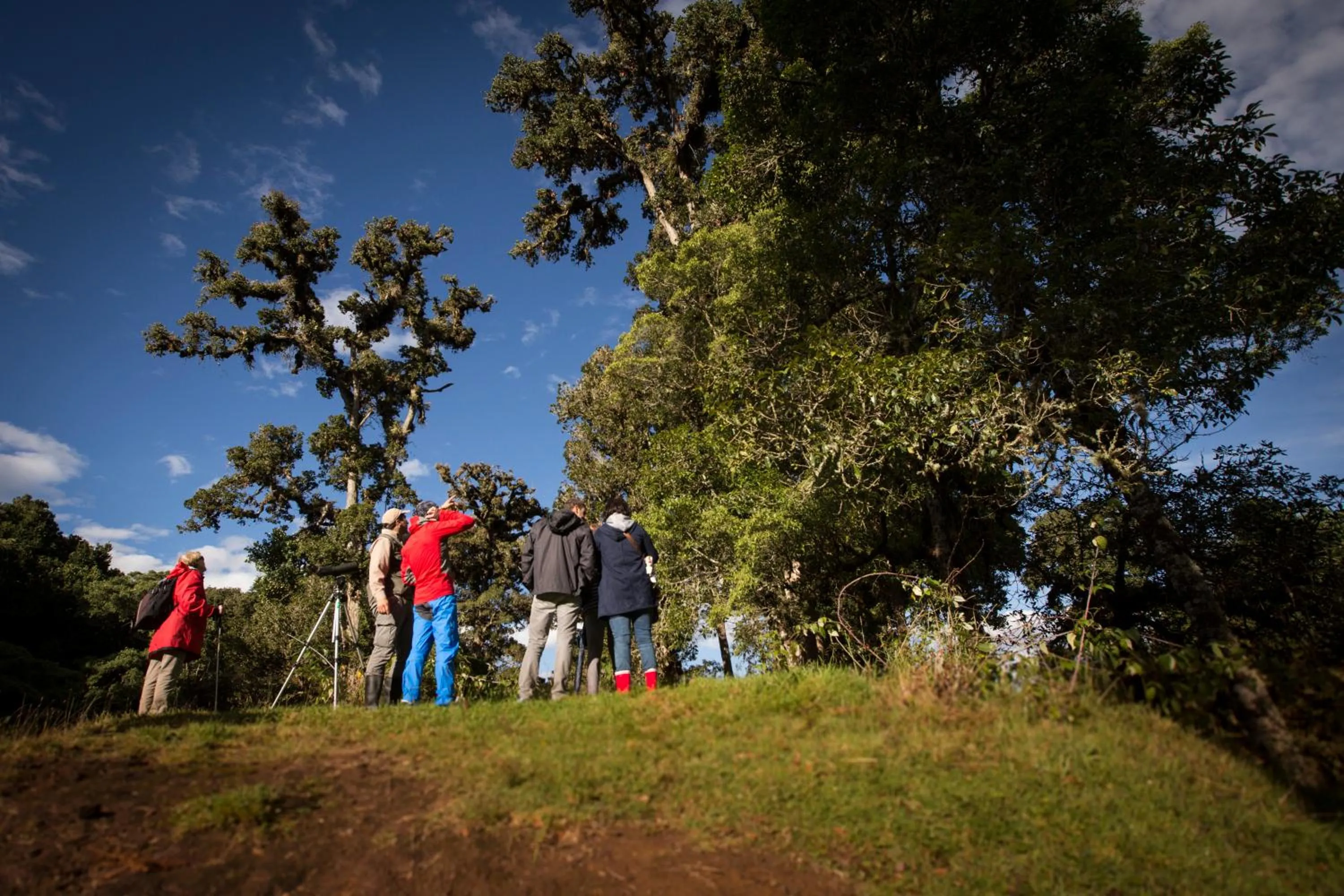 Natural landscape in Paraíso Quetzal Lodge