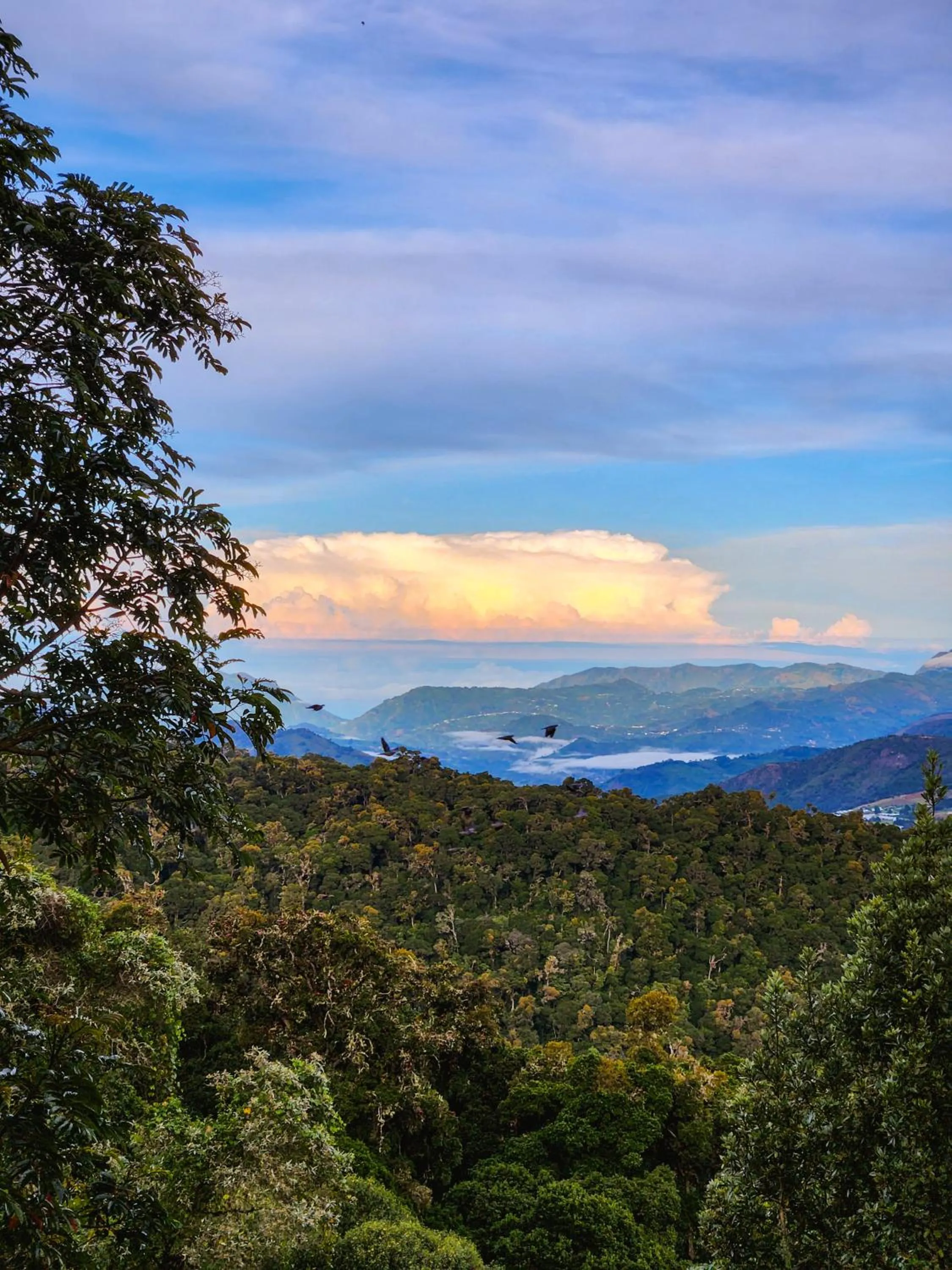 Natural landscape in Paraíso Quetzal Lodge