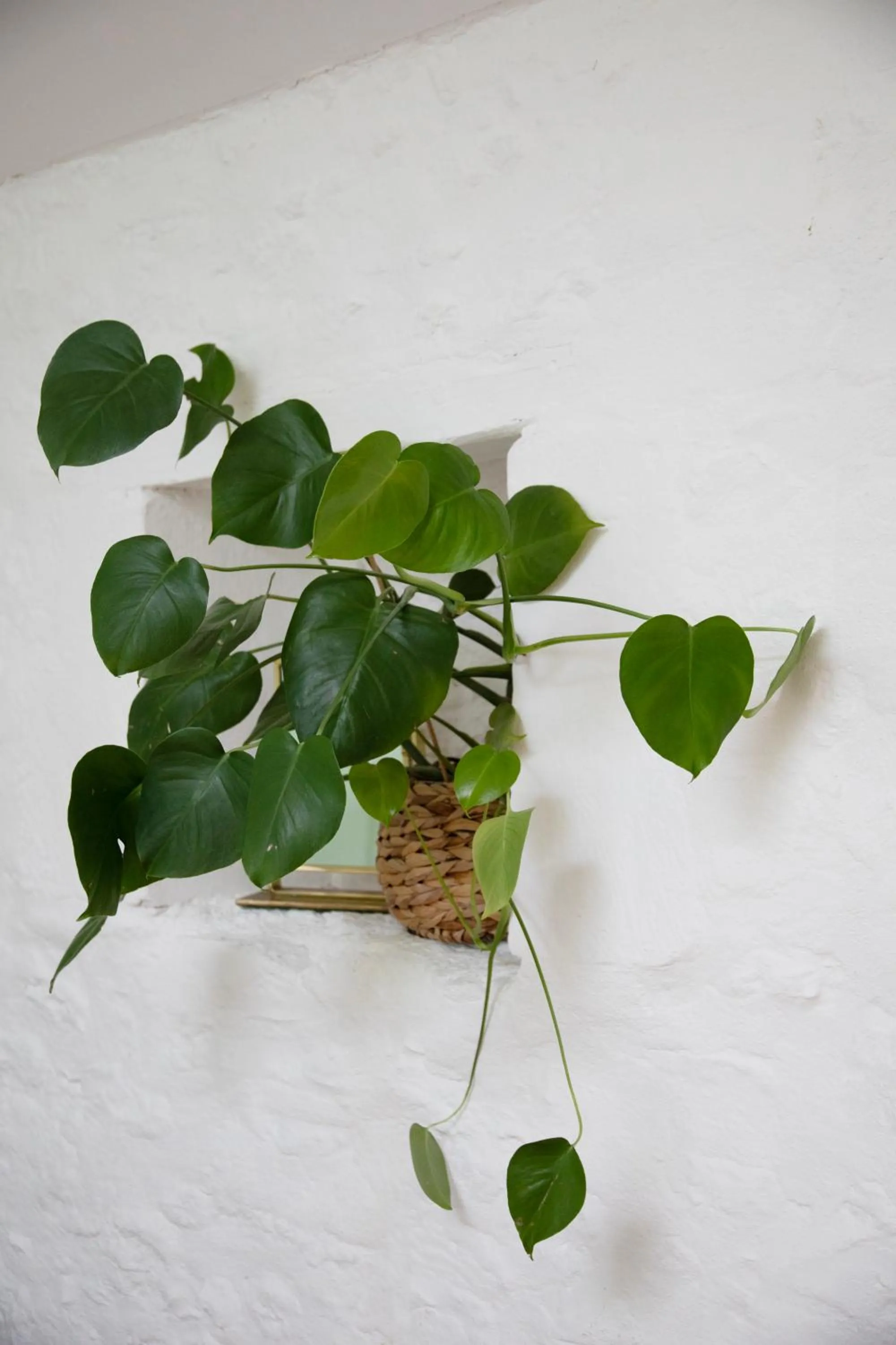 Decorative detail in Le Domaine de Villespy