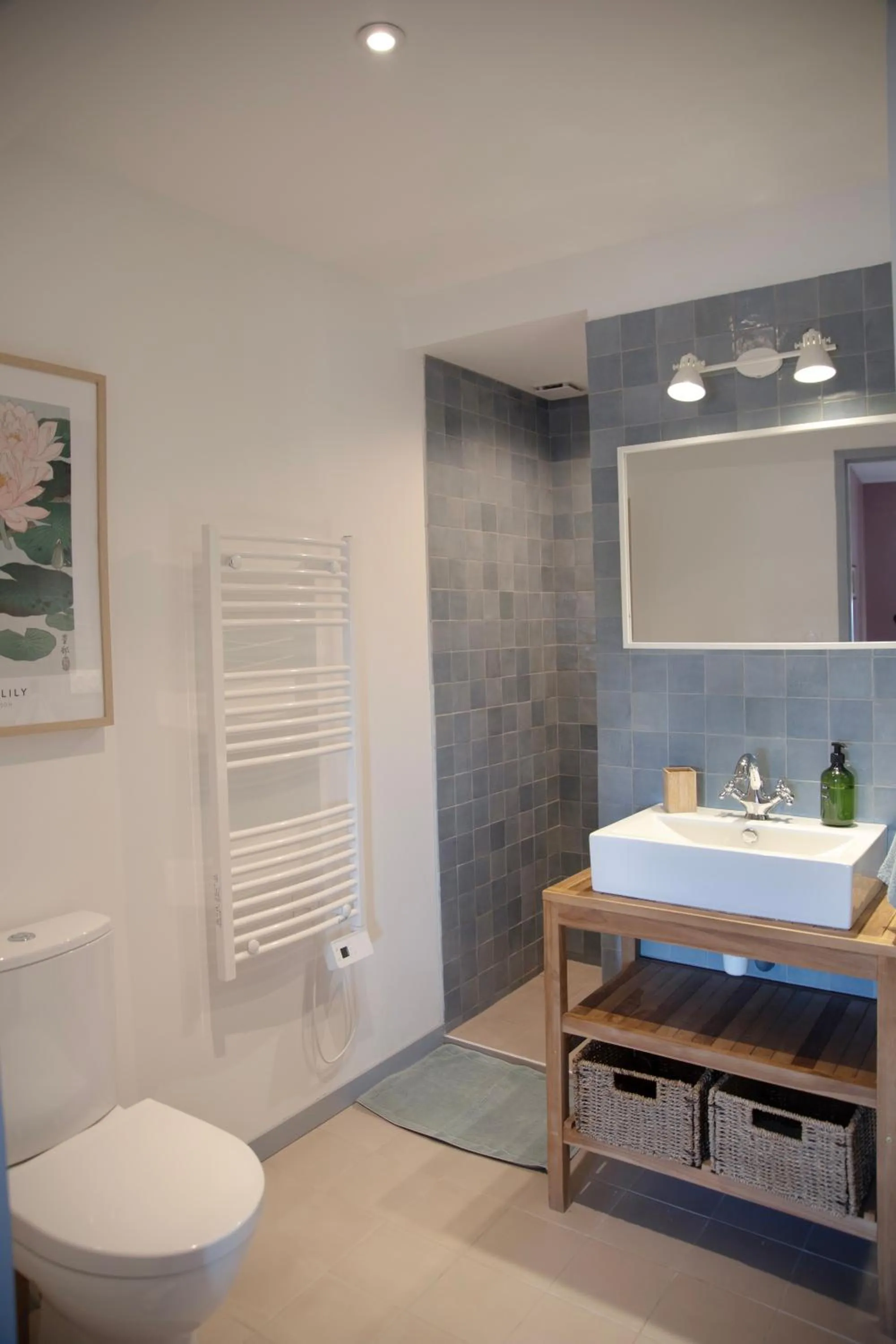 Toilet in Le Domaine de Villespy