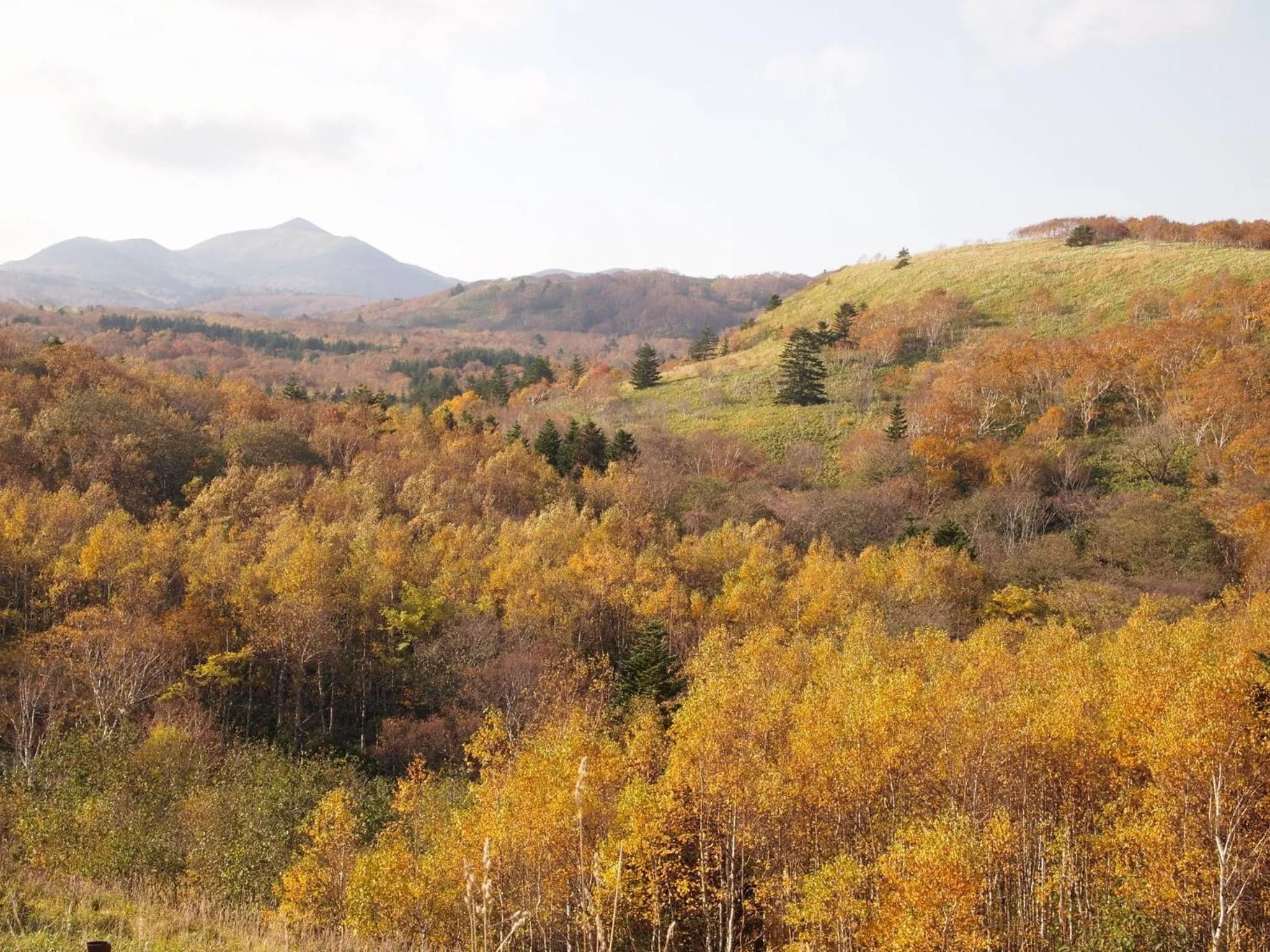Hiking in Petit Hotel Corinthian
