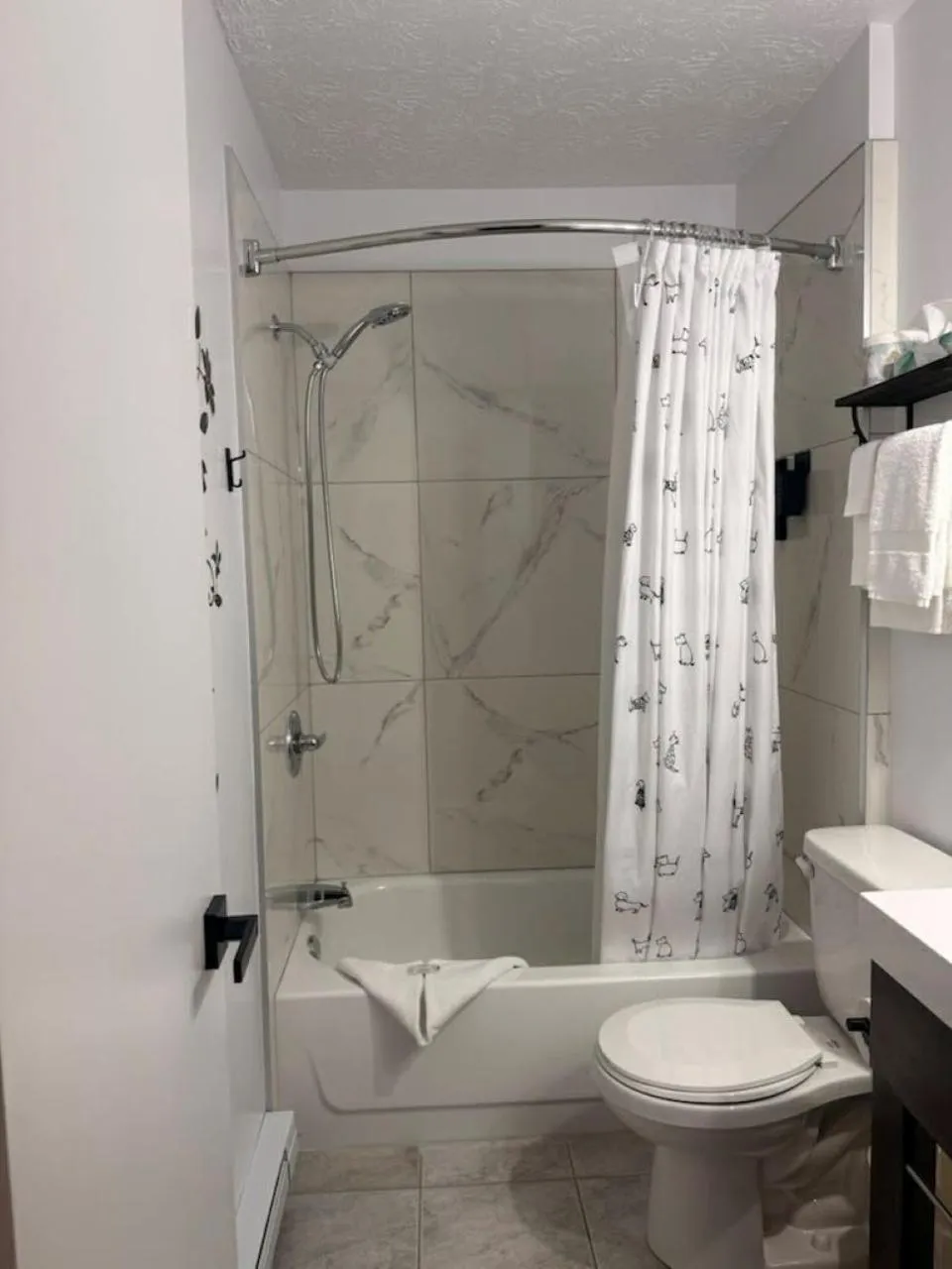 Shower in Auberge MicKy Inc