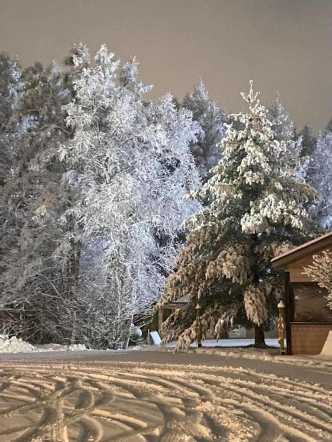 Natural landscape in Auberge MicKy Inc