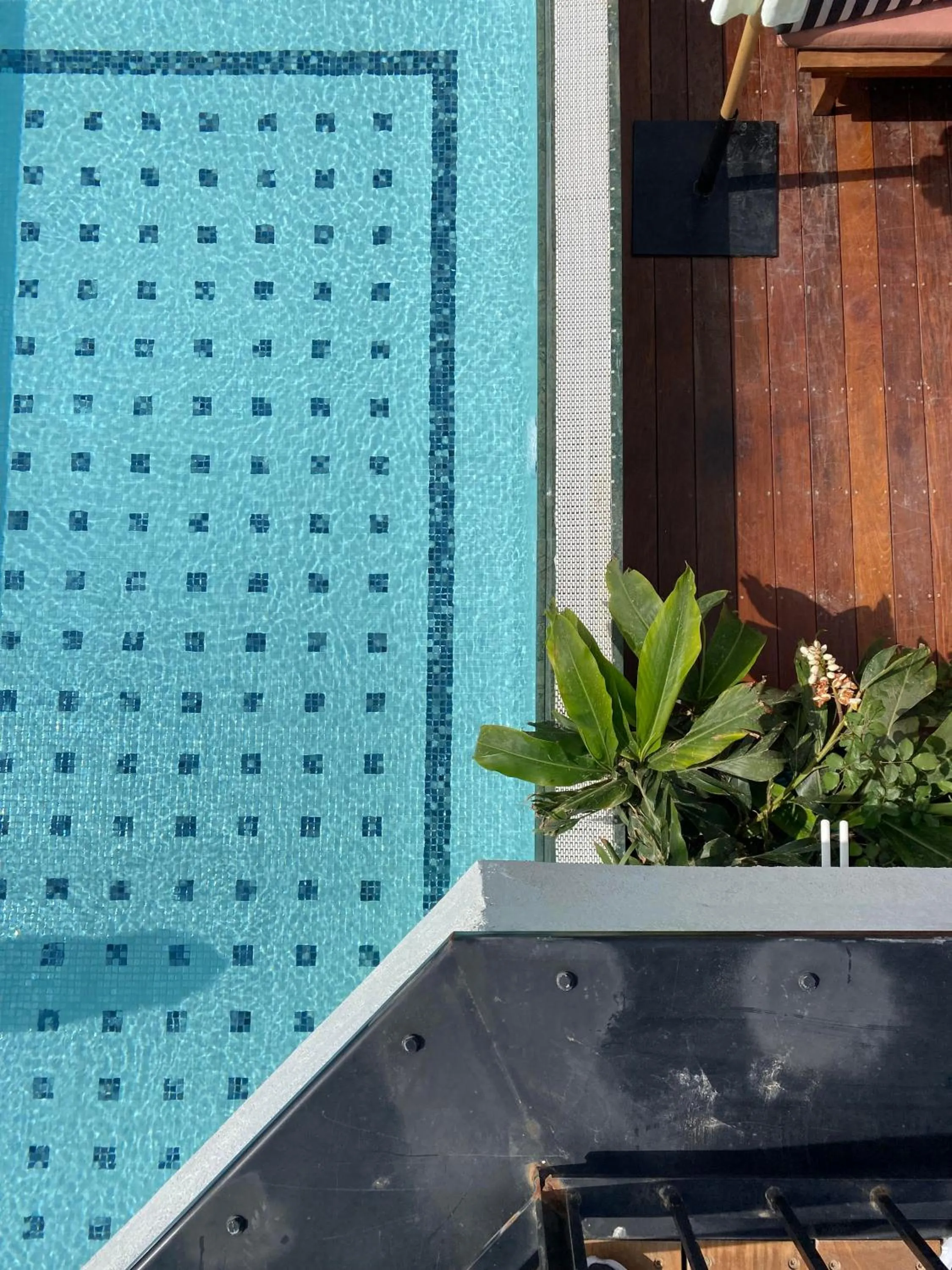 Property building in Mayer House