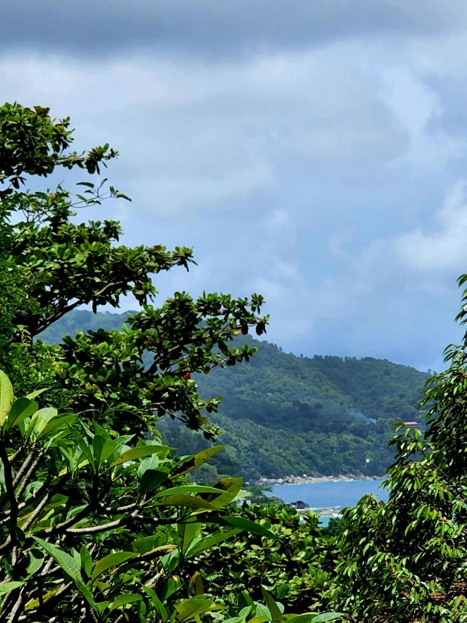 View (from property/room) in Kata Garden Resort SHA Extra Plus
