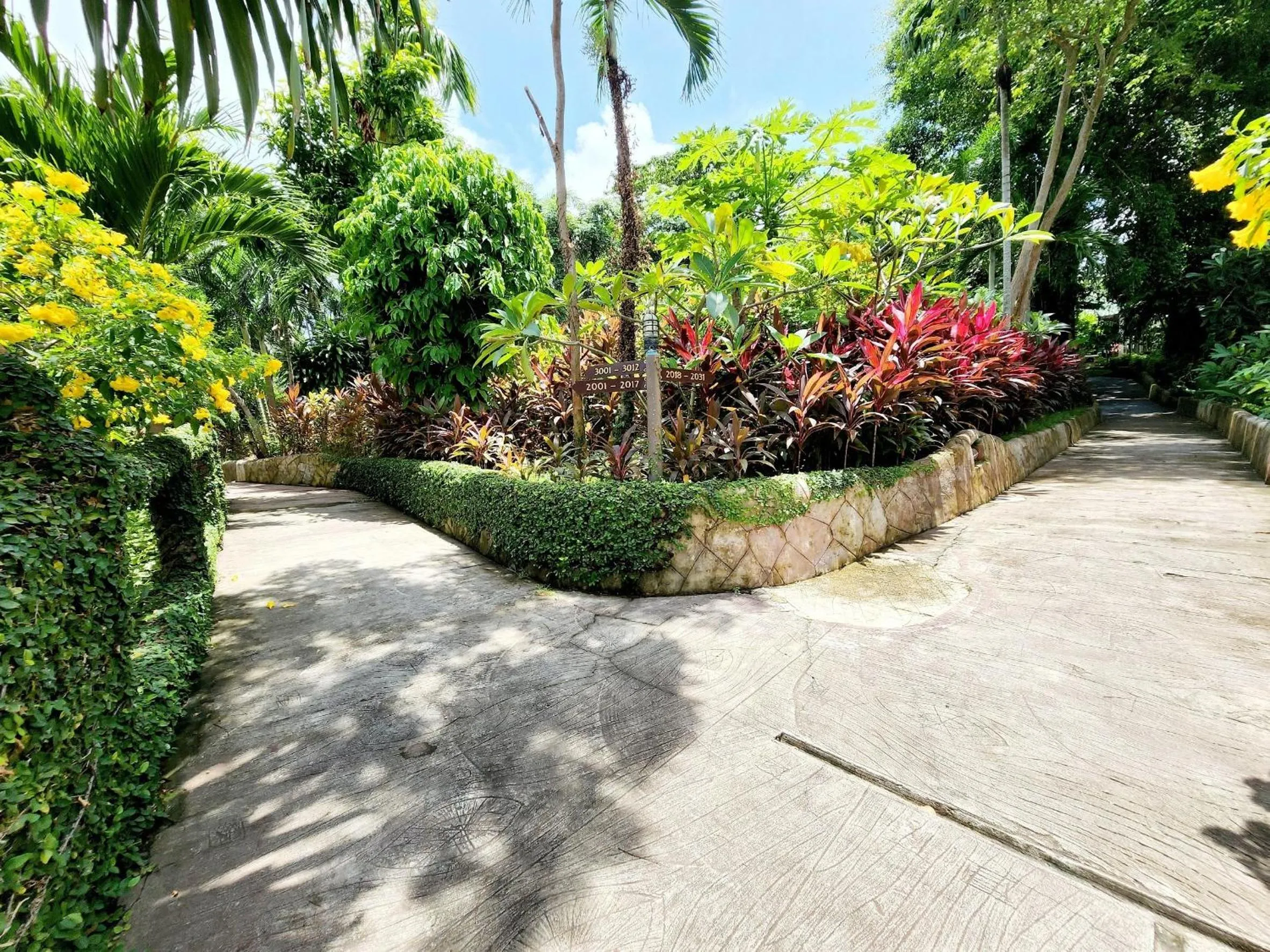 Area and facilities in Kata Garden Resort SHA Extra Plus