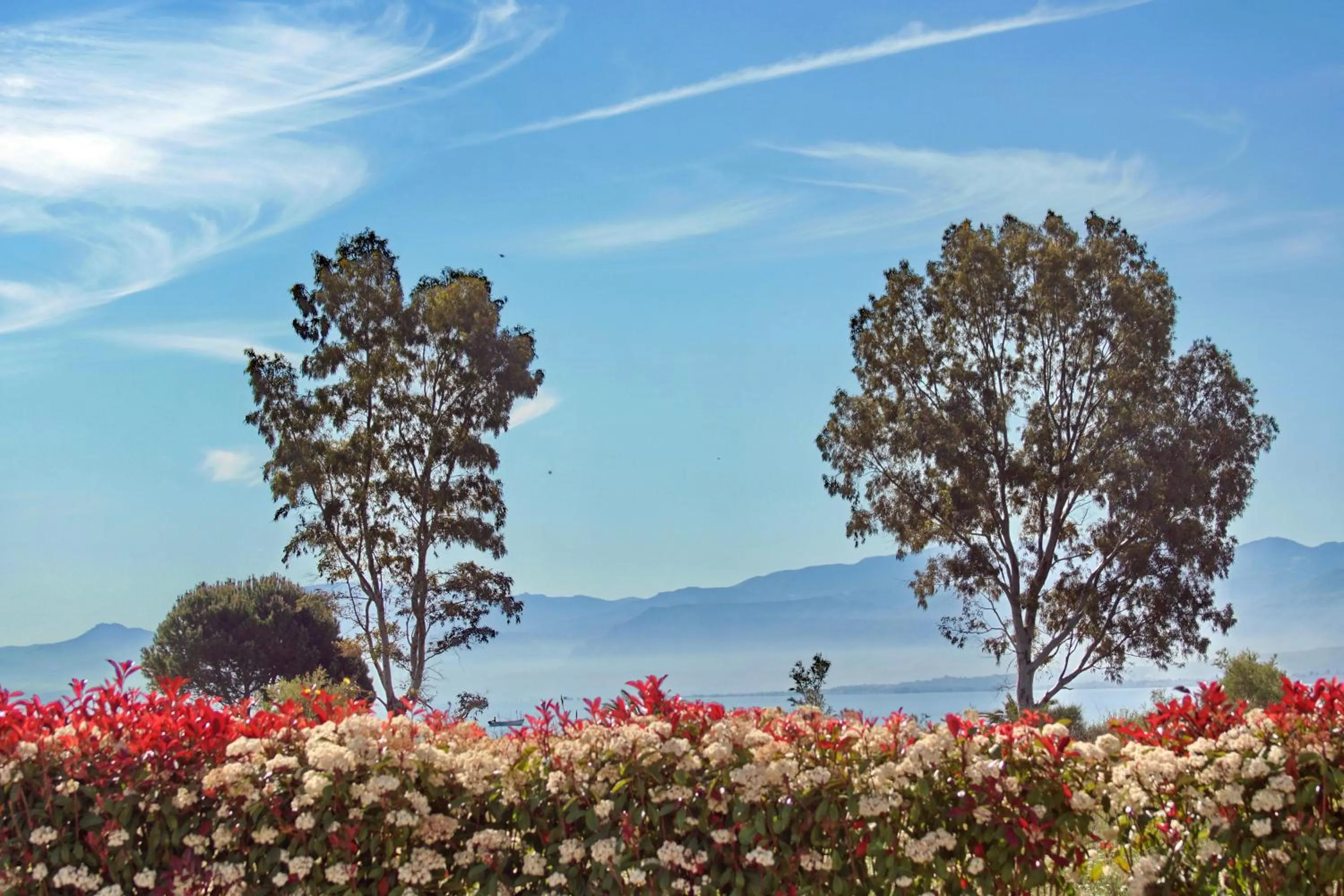 View (from property/room) in Cavos Fokidos