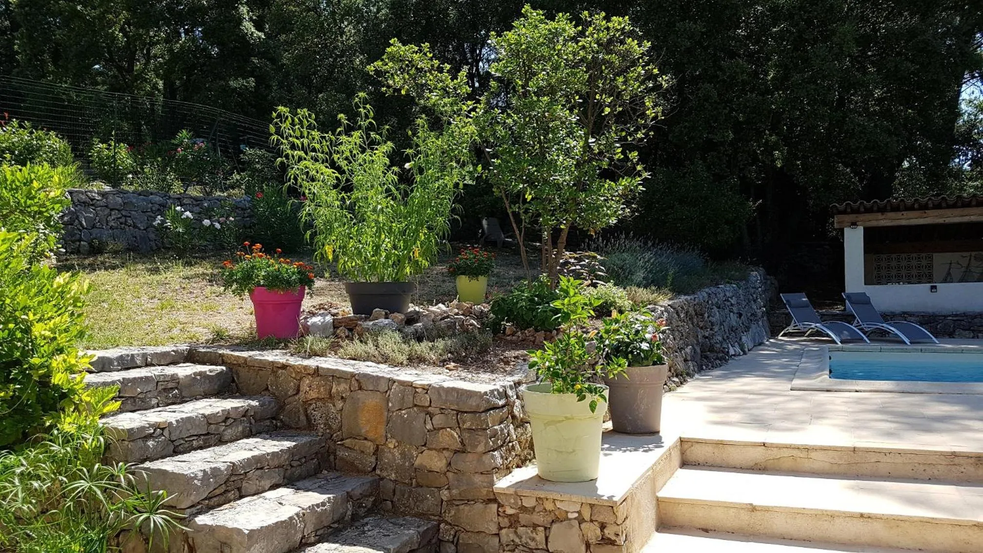 Garden in Le Mas des Hibiscus