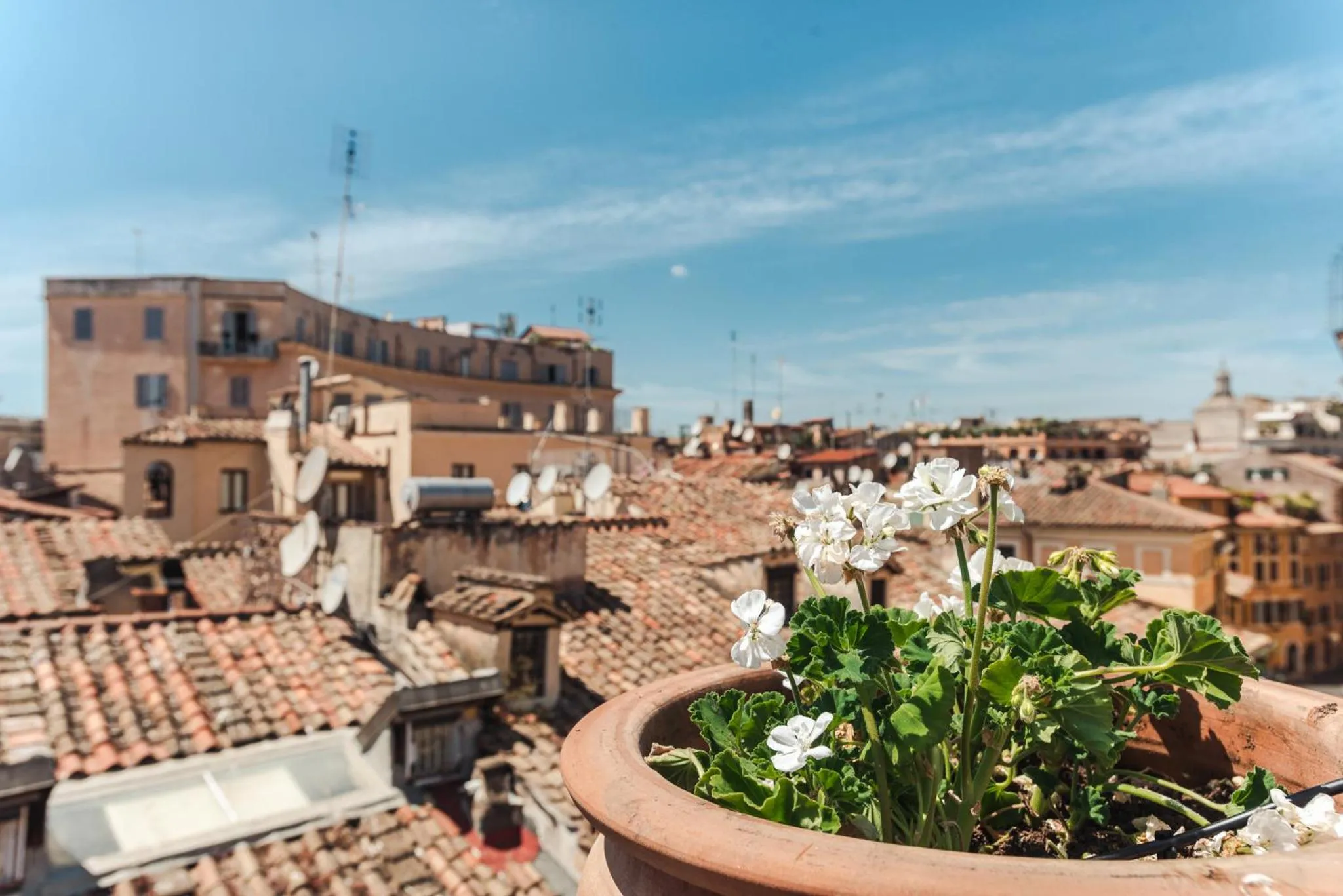 View (from property/room) in Nikis Collection Navona