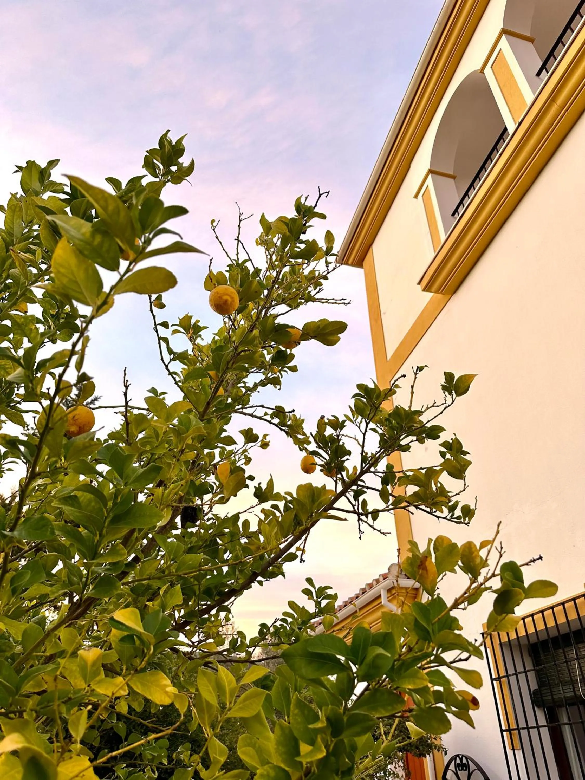 Property building in Hacienda el Tarajal