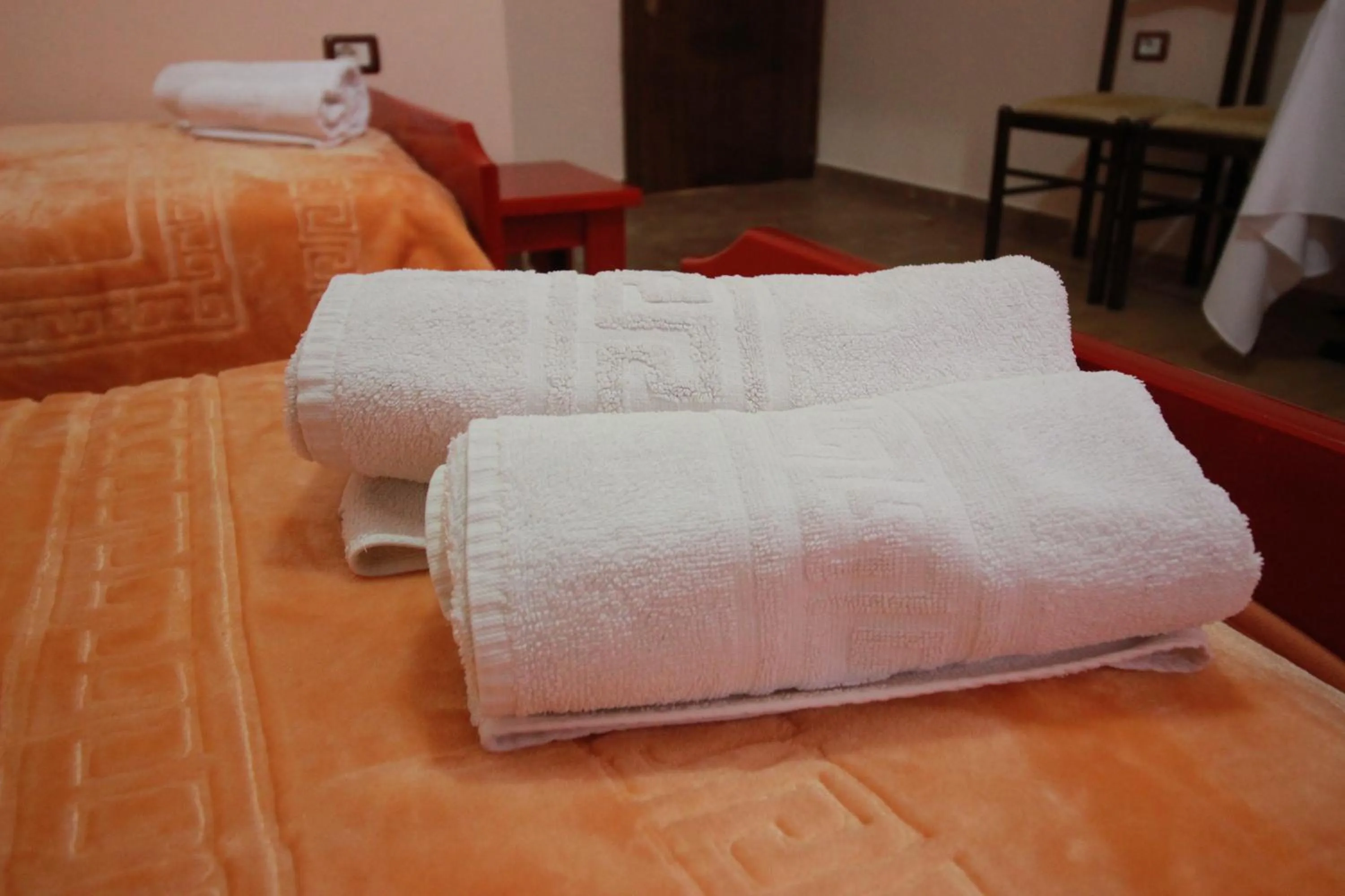 HOTEL RESTORANT VIKTORIA