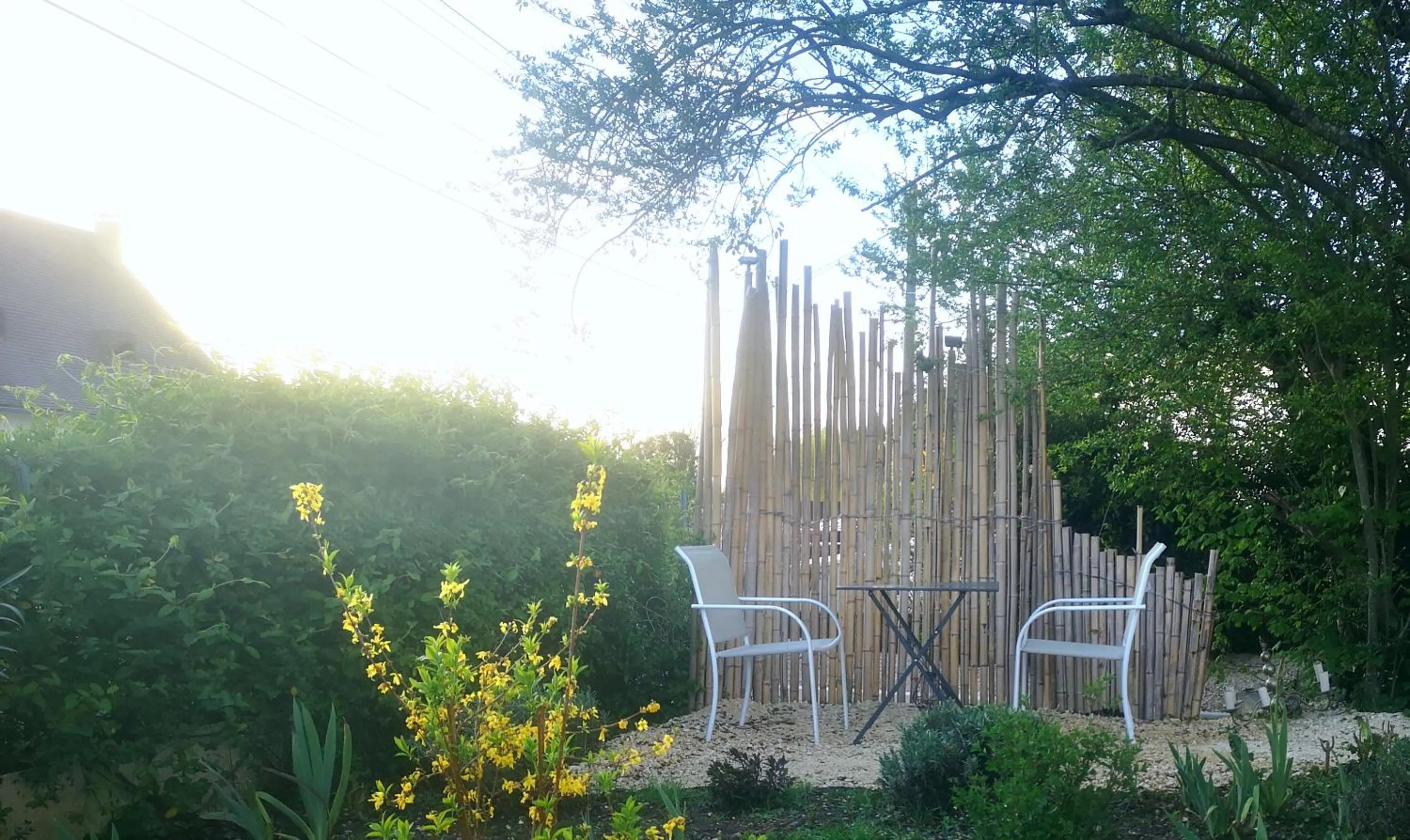 Garden in R & R BERGERAC