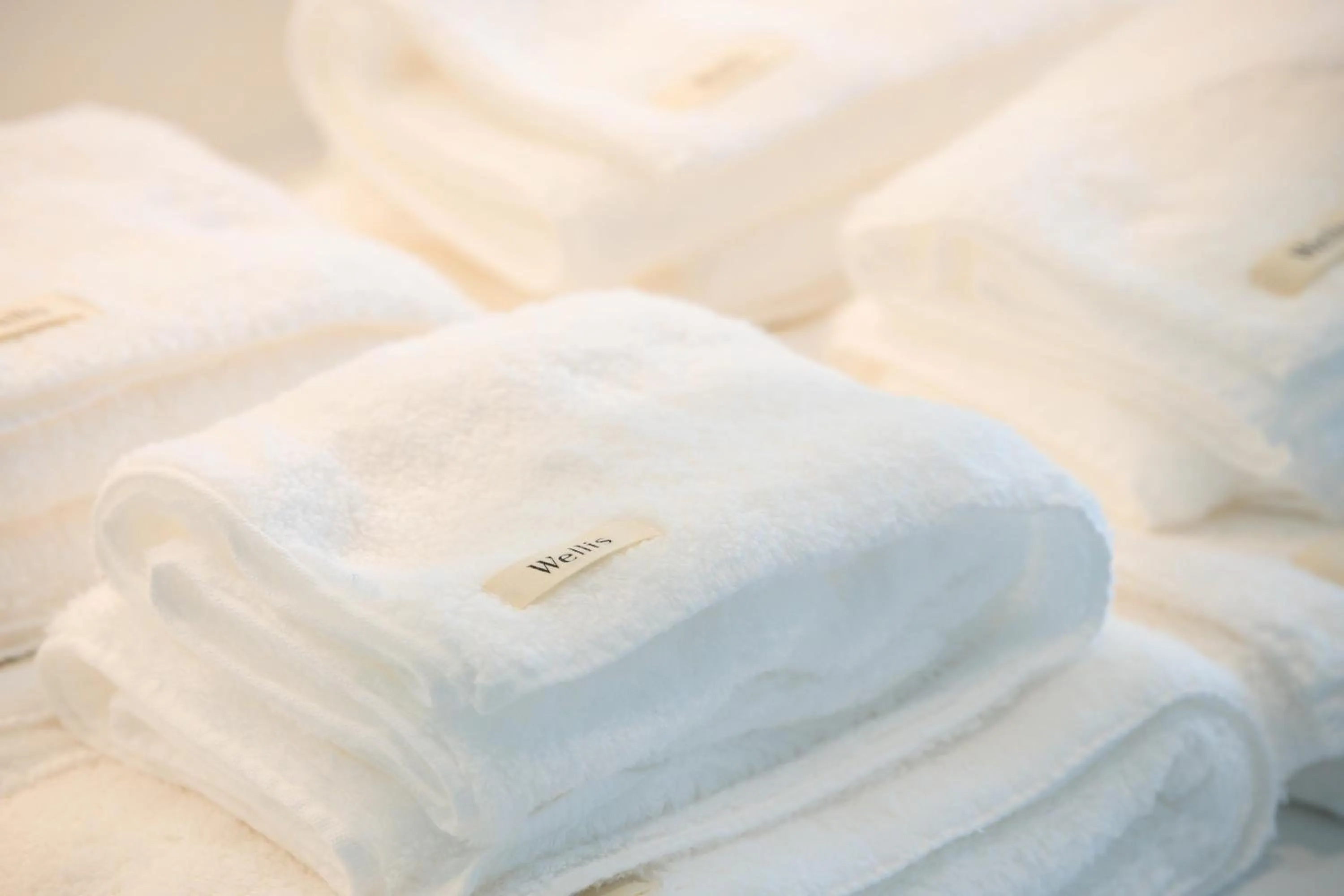 Bed in Wellis Villa HANARE