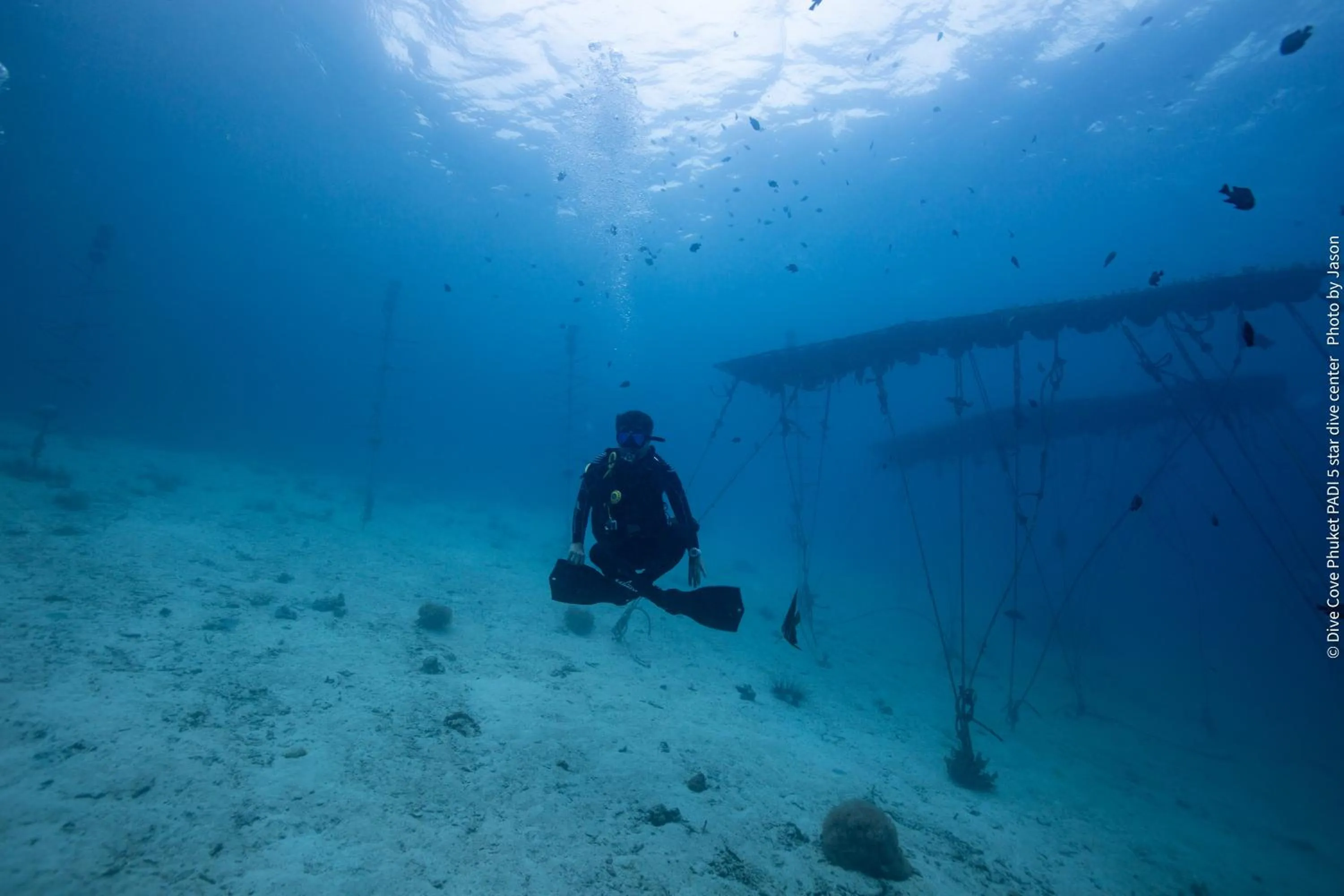Natural landscape in Lucky Sun Patong