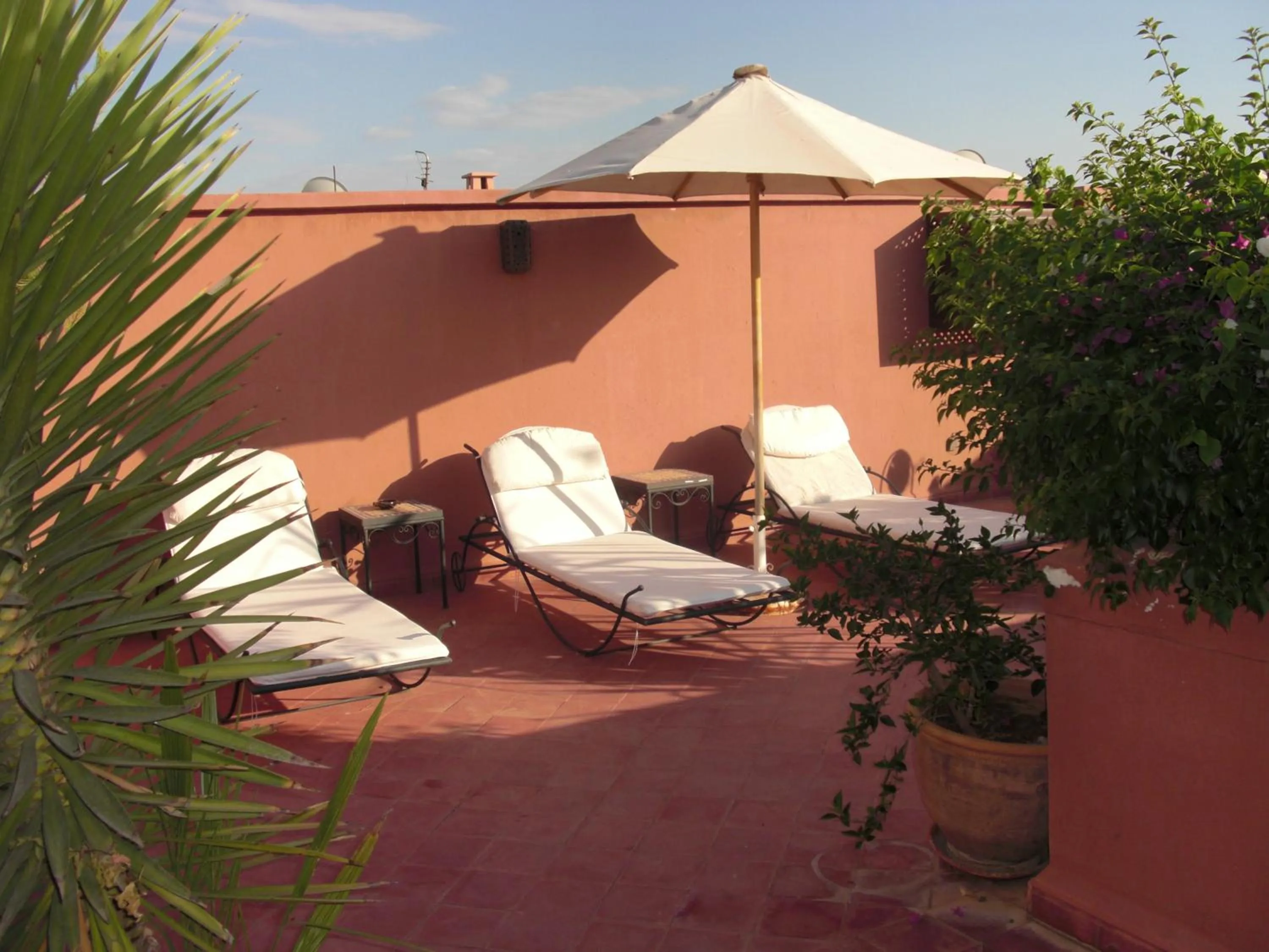 Garden view in Riad Zagouda