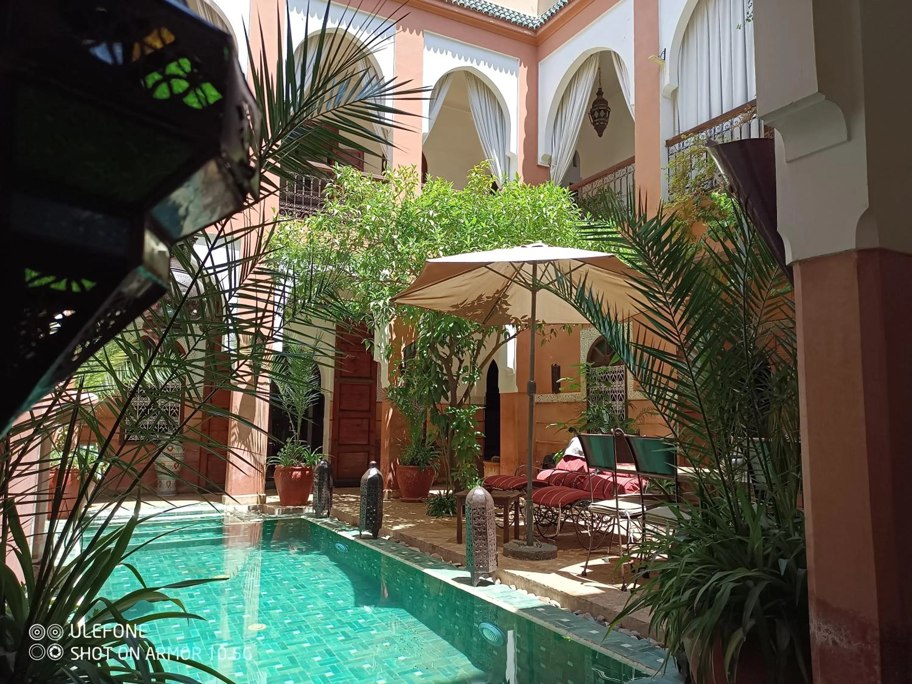 Garden in Riad Zagouda