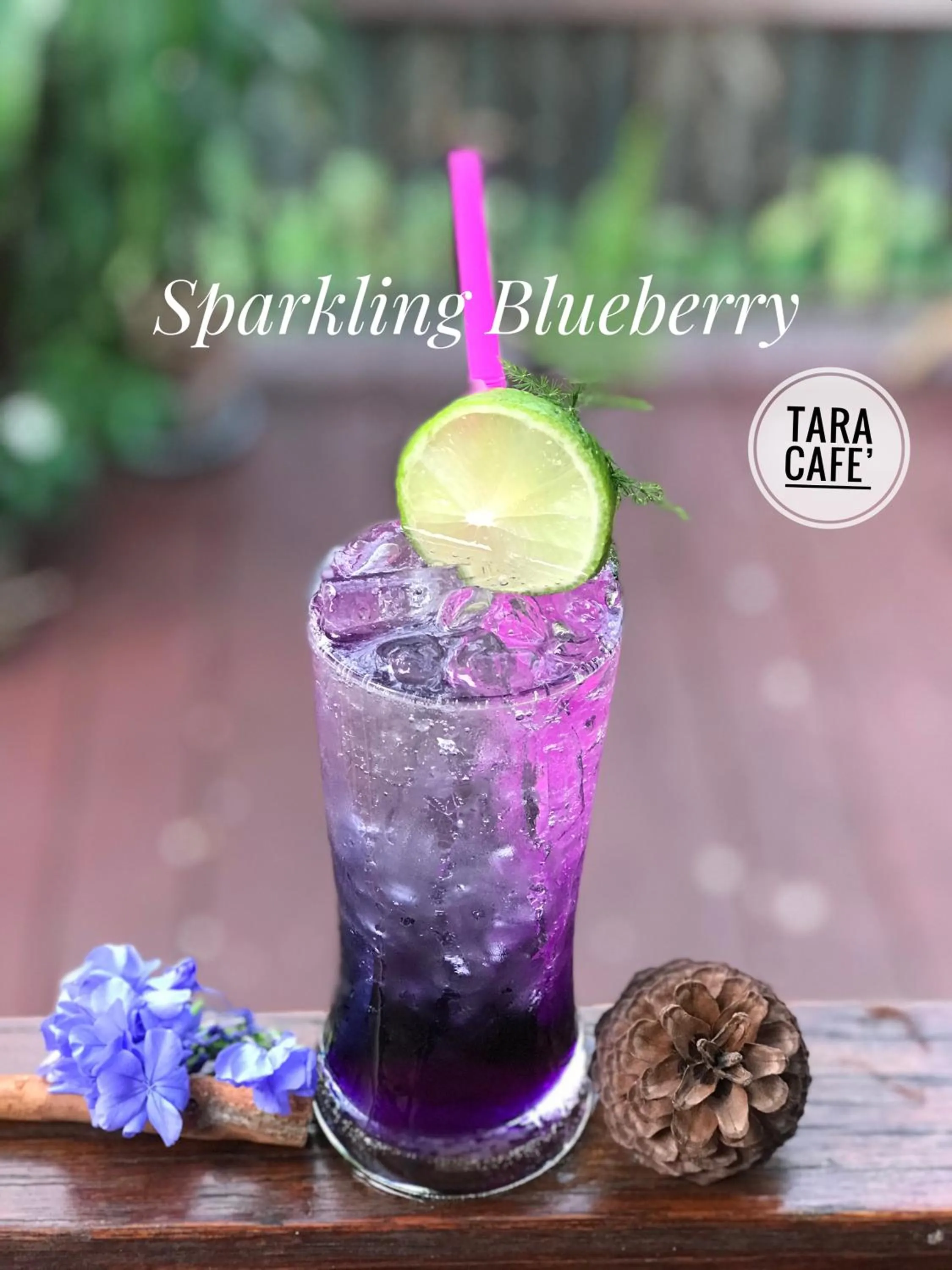 Food and drinks in Papai Country Lodge SHA