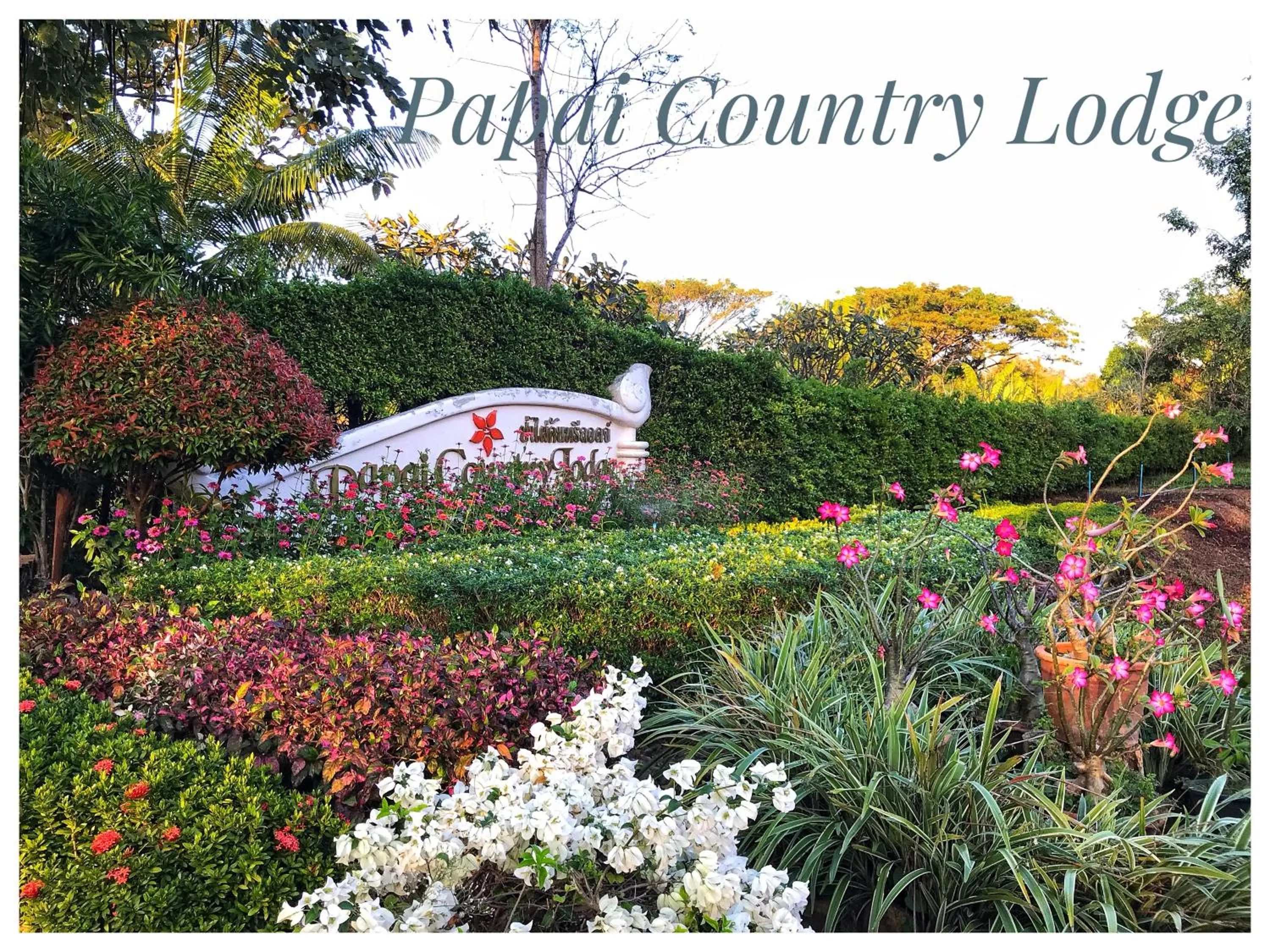 Garden in Papai Country Lodge SHA